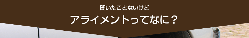 聞いたことないけどアライメントってなに？