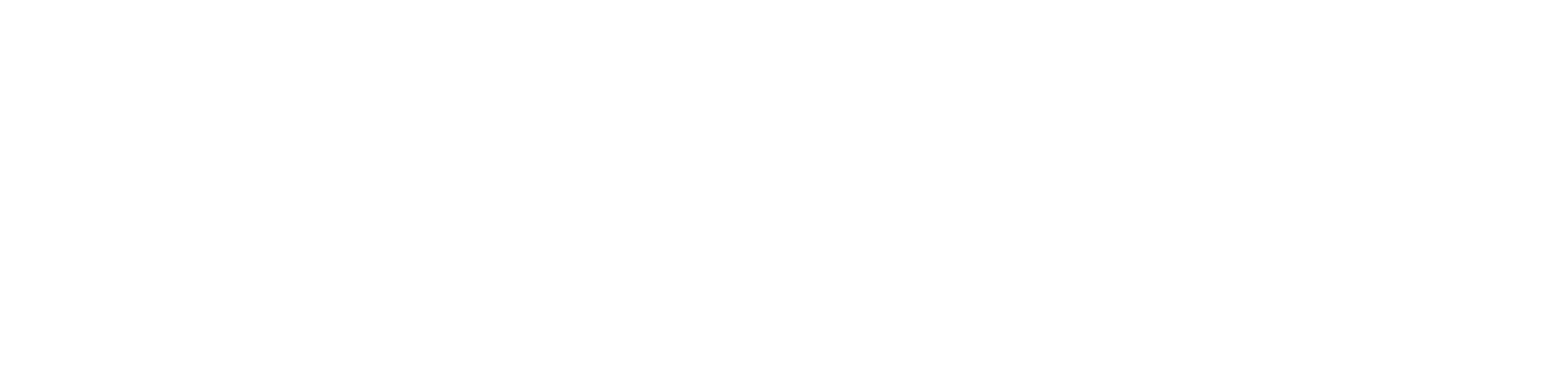 ALENZAのタイヤ特徴 オンロード/スポーツ【運動性能重視】 ライフ ウェット性能 ドライ性能 直進安定性