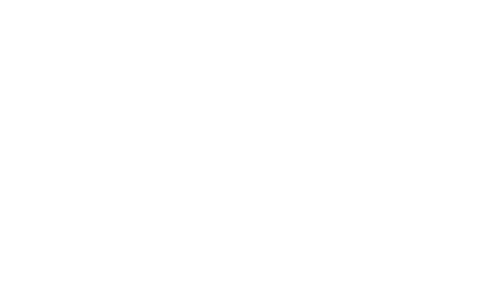 ALENZAのタイヤ特徴 オンロード/スポーツ【運動性能重視】 ライフ ウェット性能 ドライ性能 直進安定性