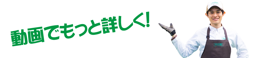 動画でもっと詳しく！｜タイヤ館