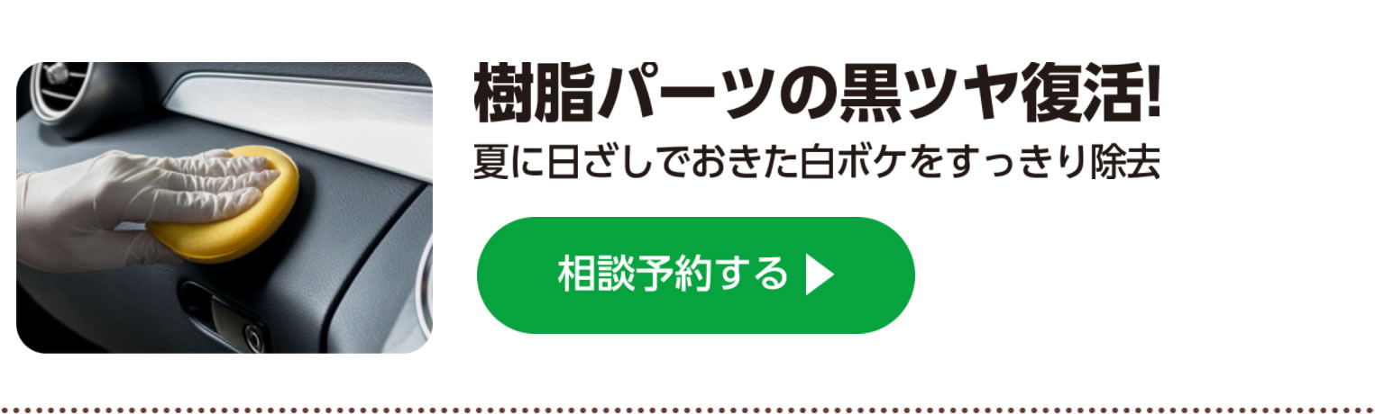 10・11月オススメサービス