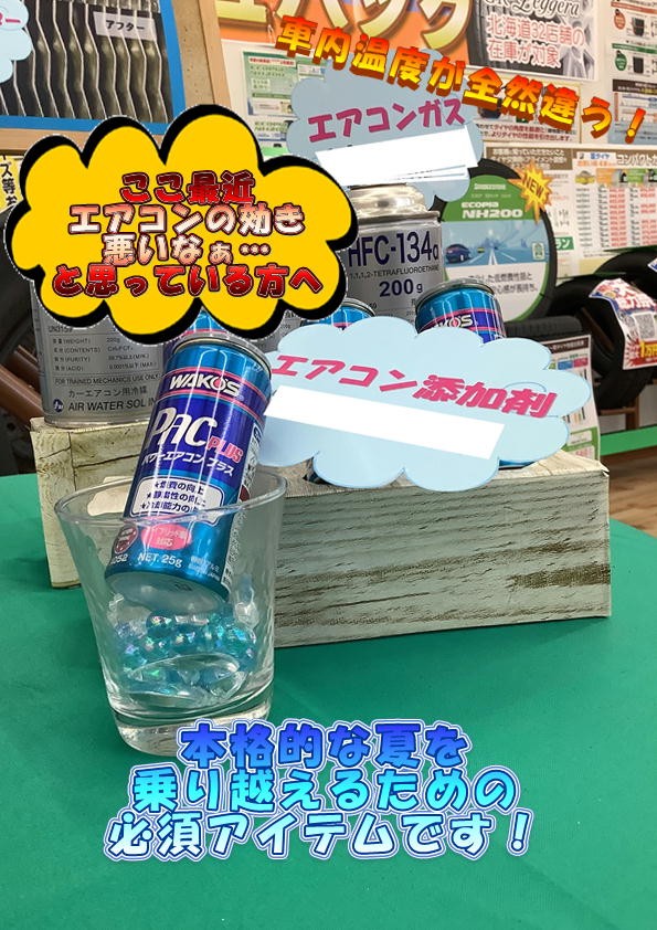 スタッフが撮影した写真です