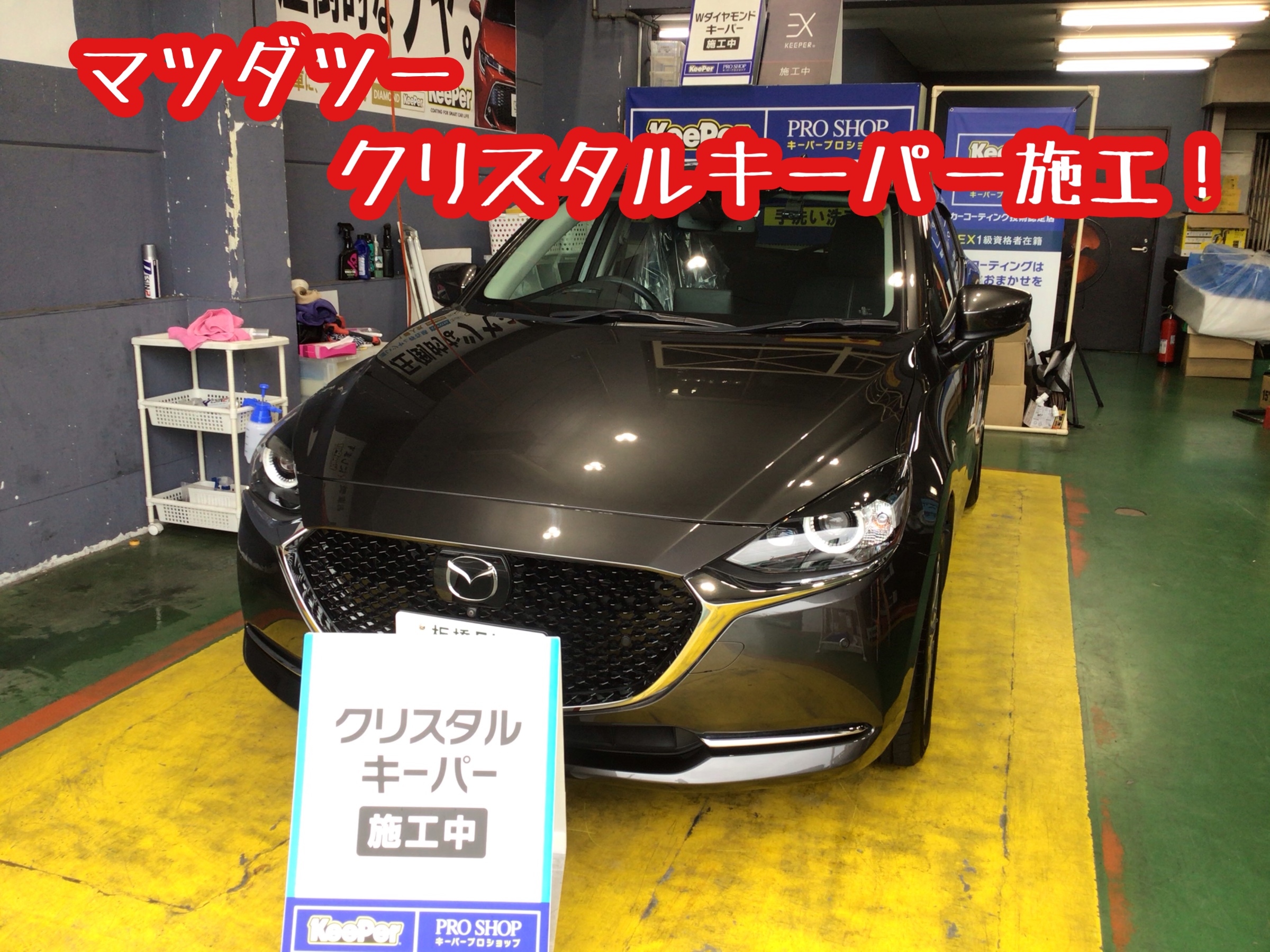 アリゲーターバトル220 塗装シートまき直し