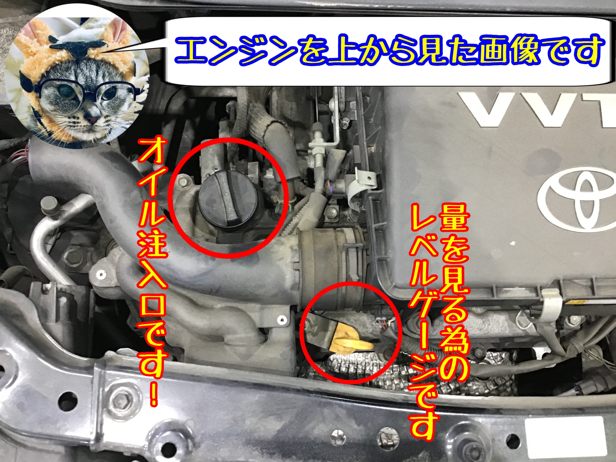 のオイル交換とエレメント交換しました ๑ ๑ トラブルなく好調を維持したいなら 定期的にエンジンオイル交換を トヨタ メンテナンス商品 オイル関連 エンジンオイル交換 サービス事例 タイヤ館 深谷 タイヤからはじまる トータルカーメンテナンス