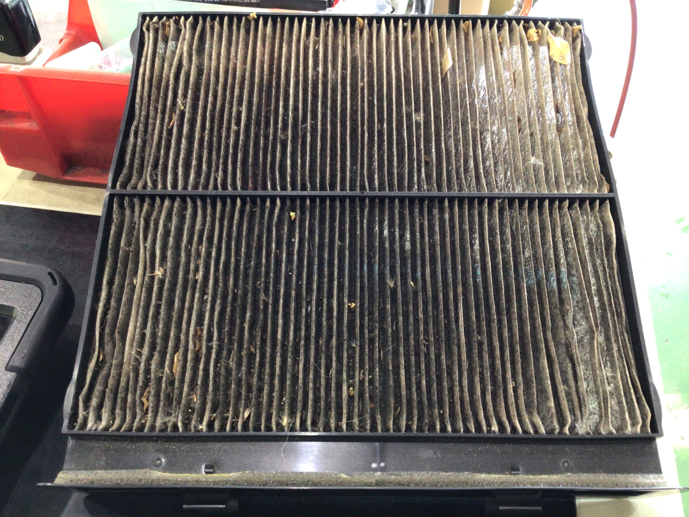 スタッフ