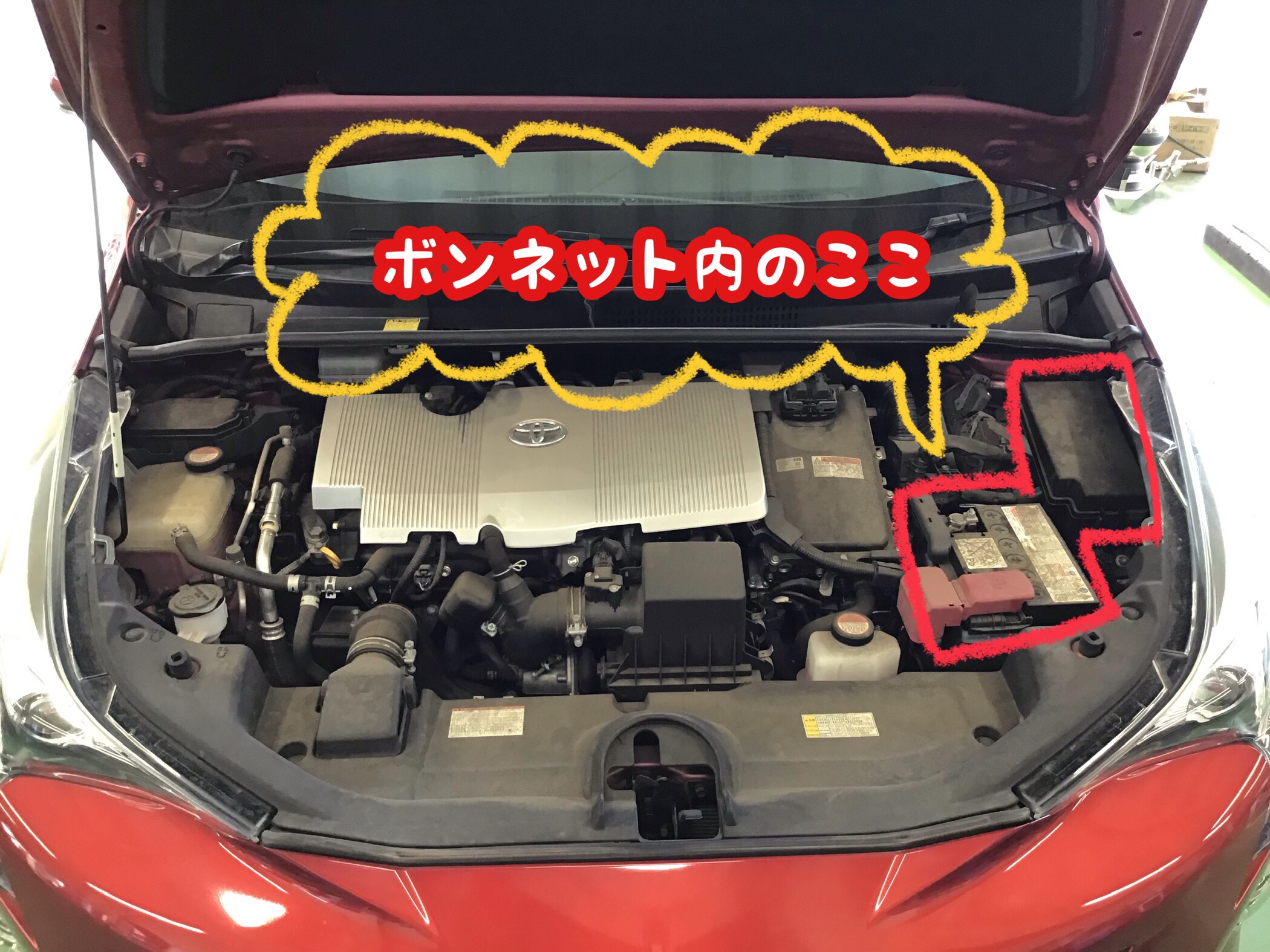 トヨタ【プリウス(50系)】補器バッテリー交換＼(^o^)／ | 店舗おススメ