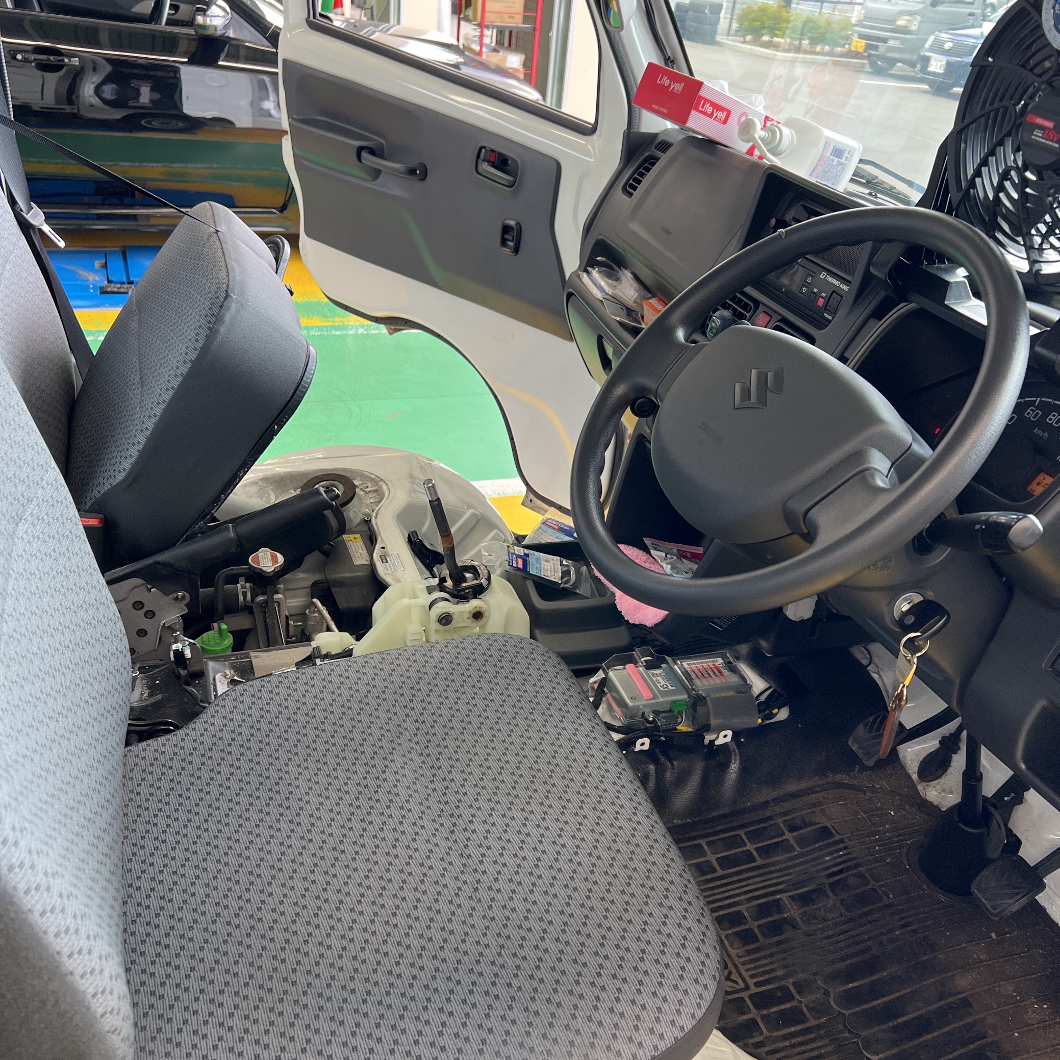 スタッフ撮影です