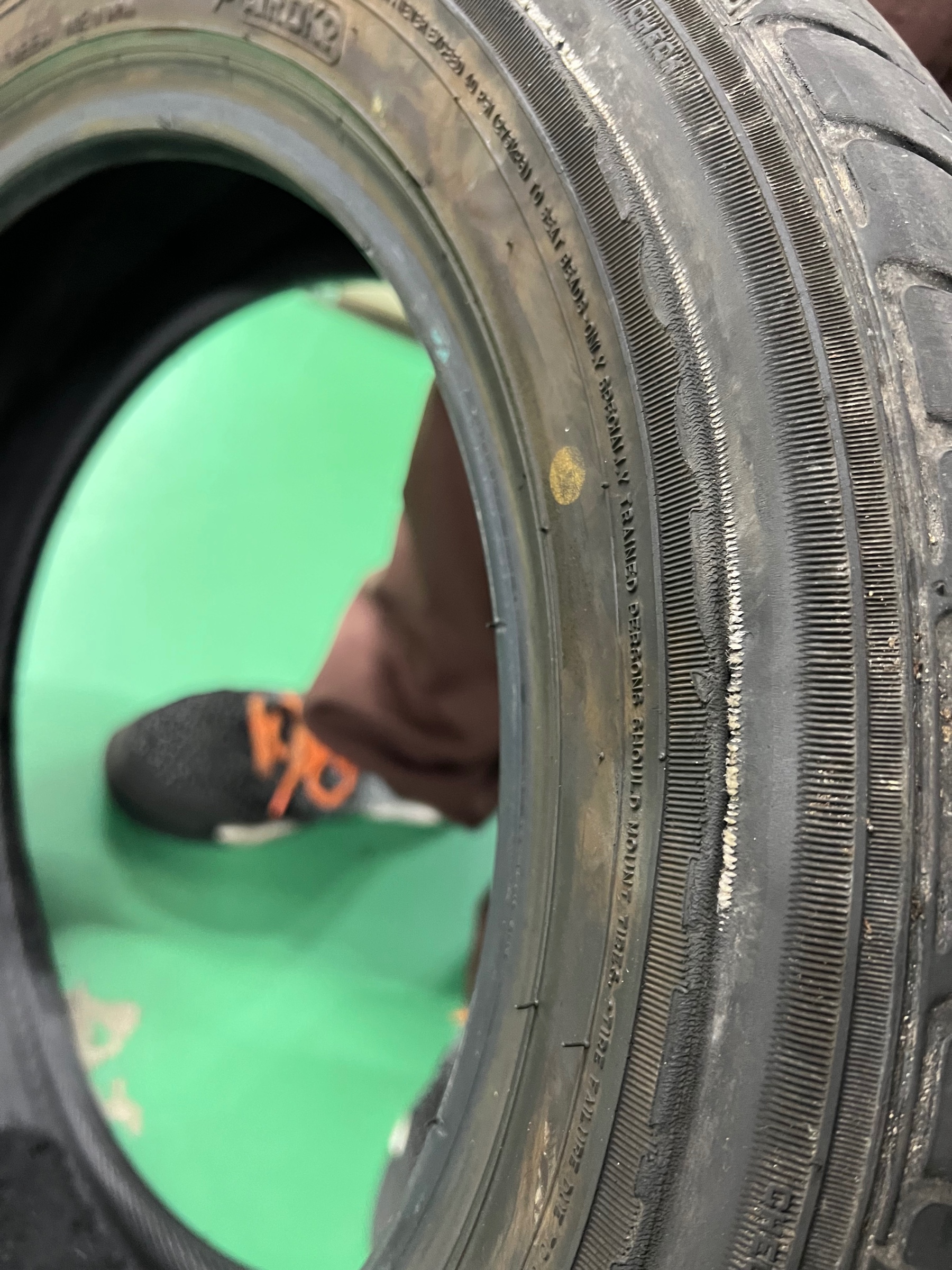 スタッフ撮影です