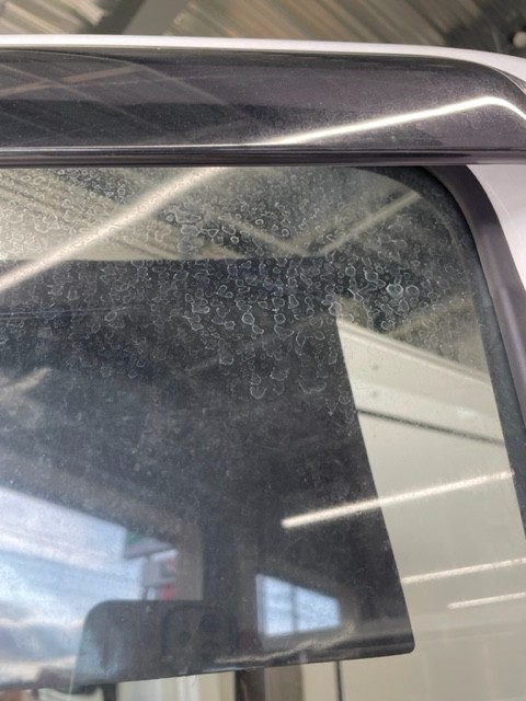 スタッフ撮影です。