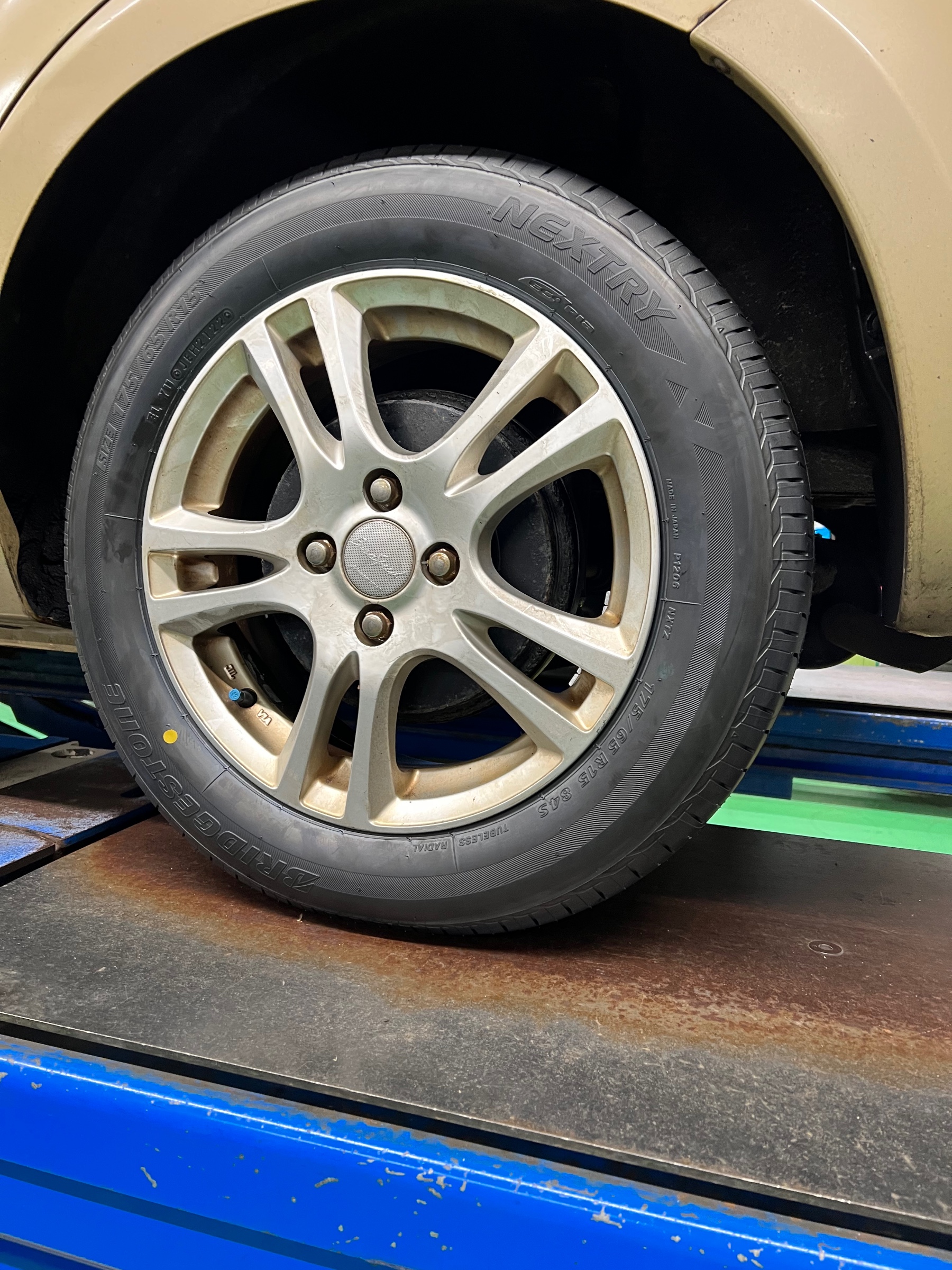 スタッフ撮影です