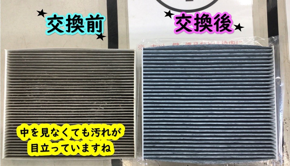 スタッフ撮影分