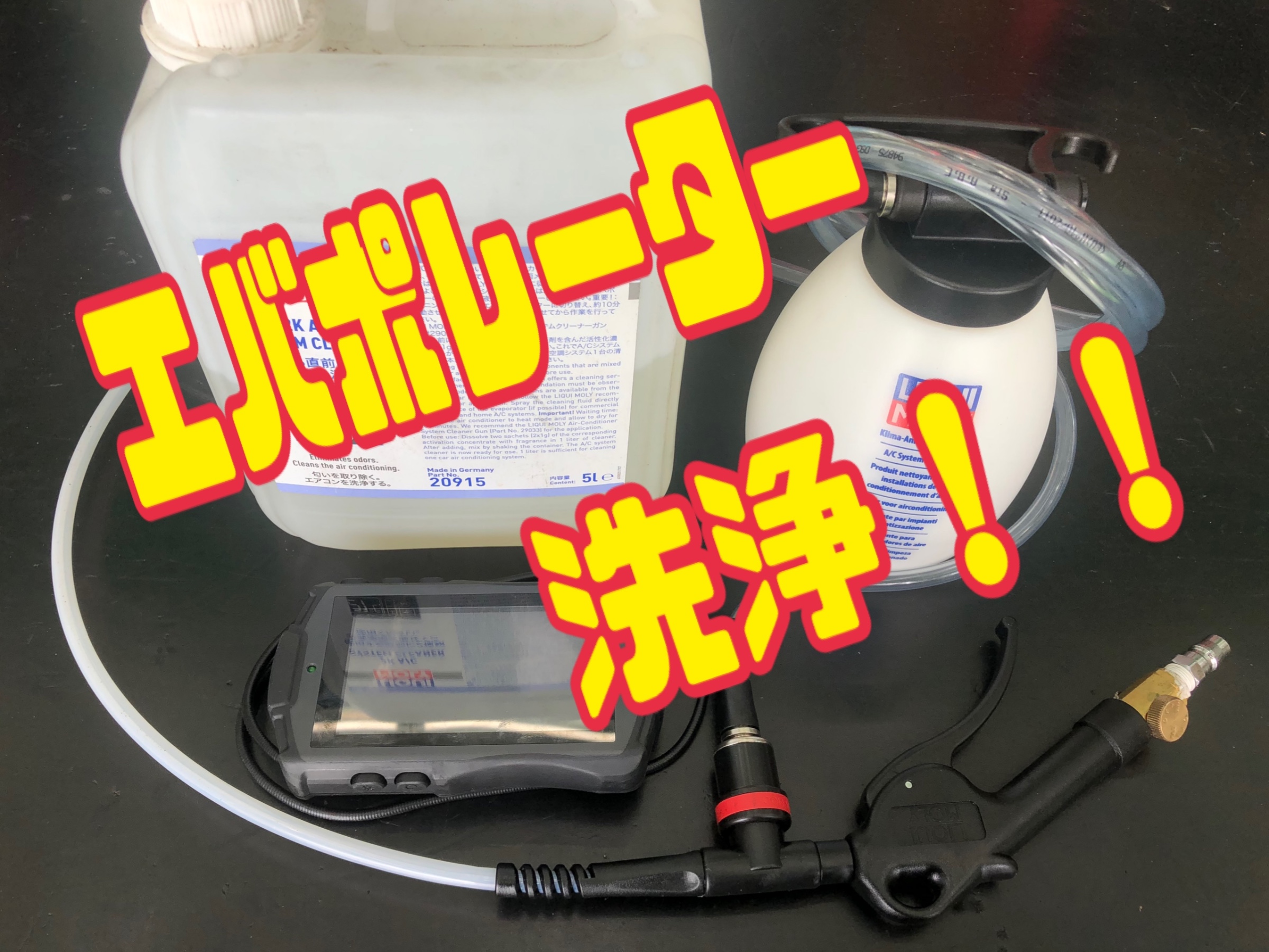生産完了品 OVALTONE OverDrive-Six ONION