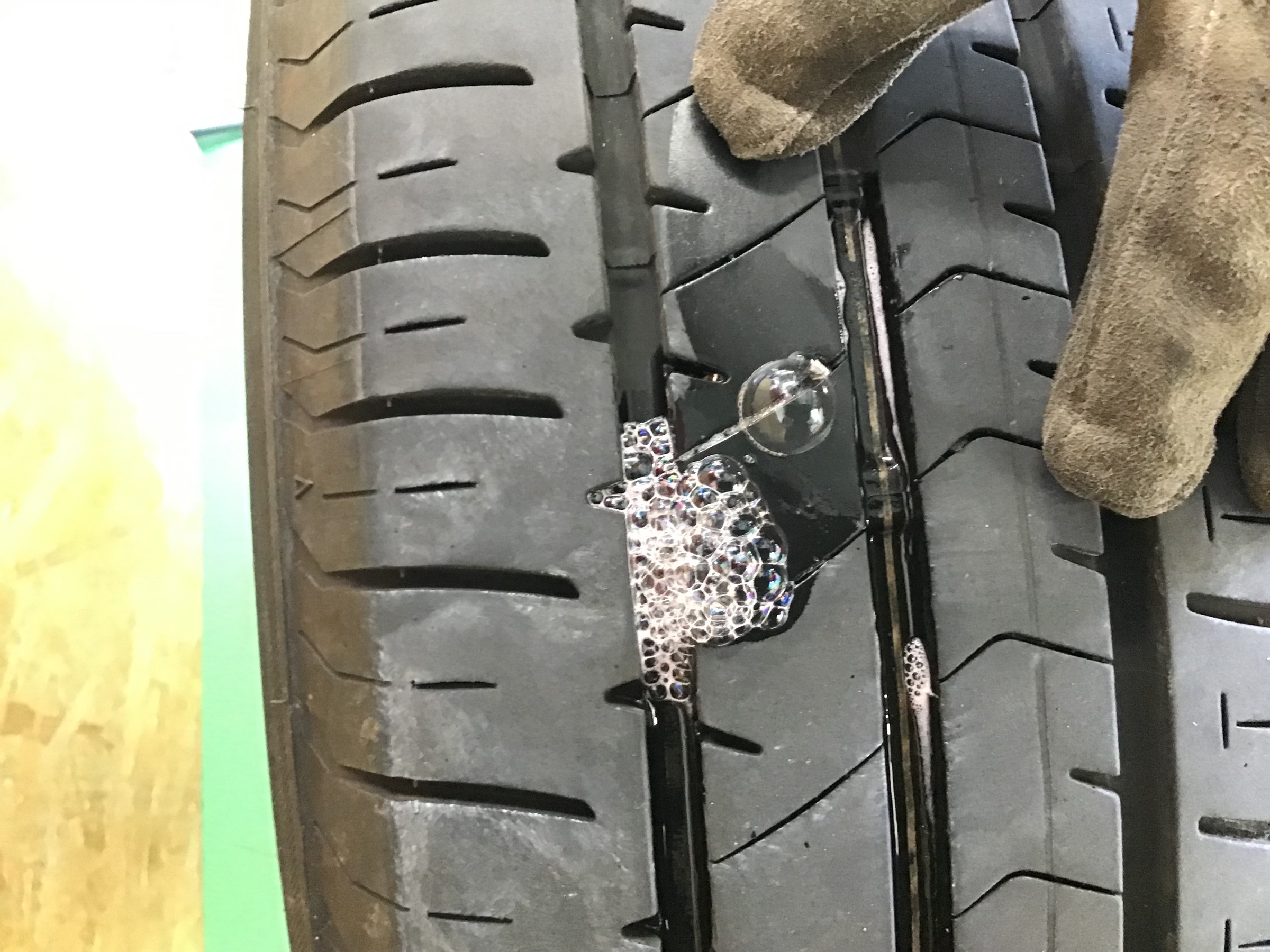 スタッフ撮影です