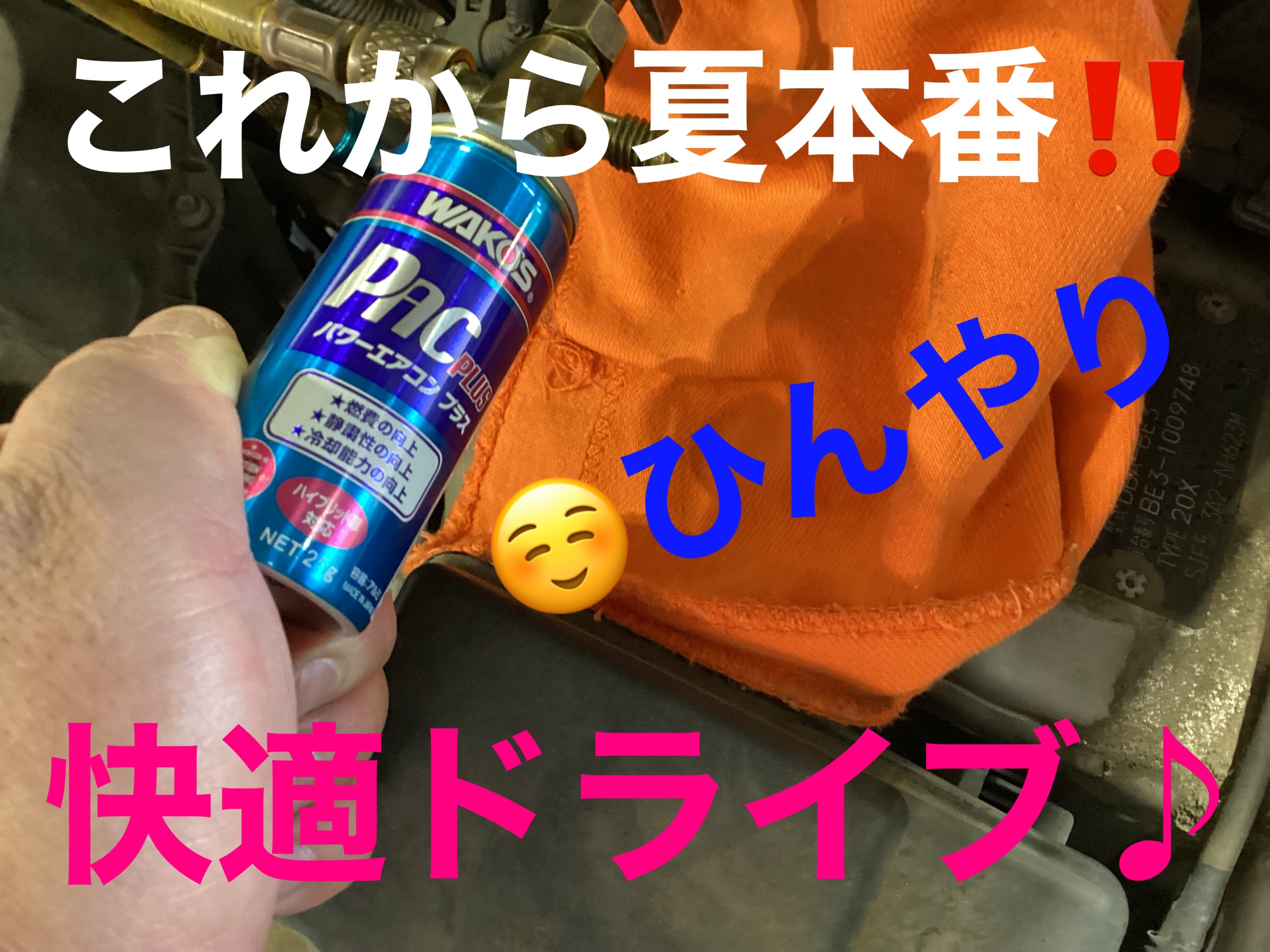 スタッフ撮影画像