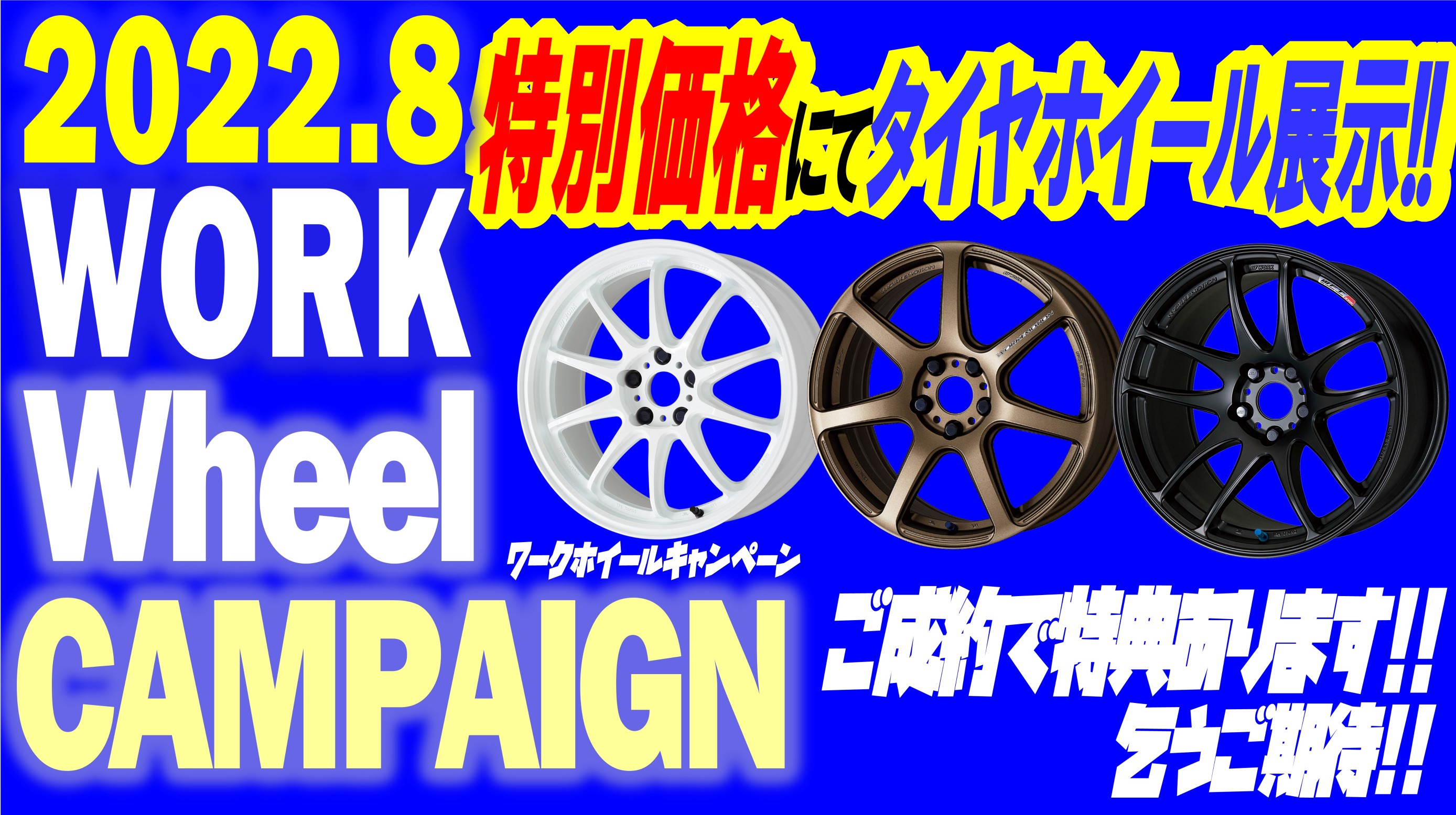 ブルータイガーアイ　龍亀　ロングイ２匹セット ブルータイガーアイ 龍亀 ロングイ2匹セット ブルータイガー