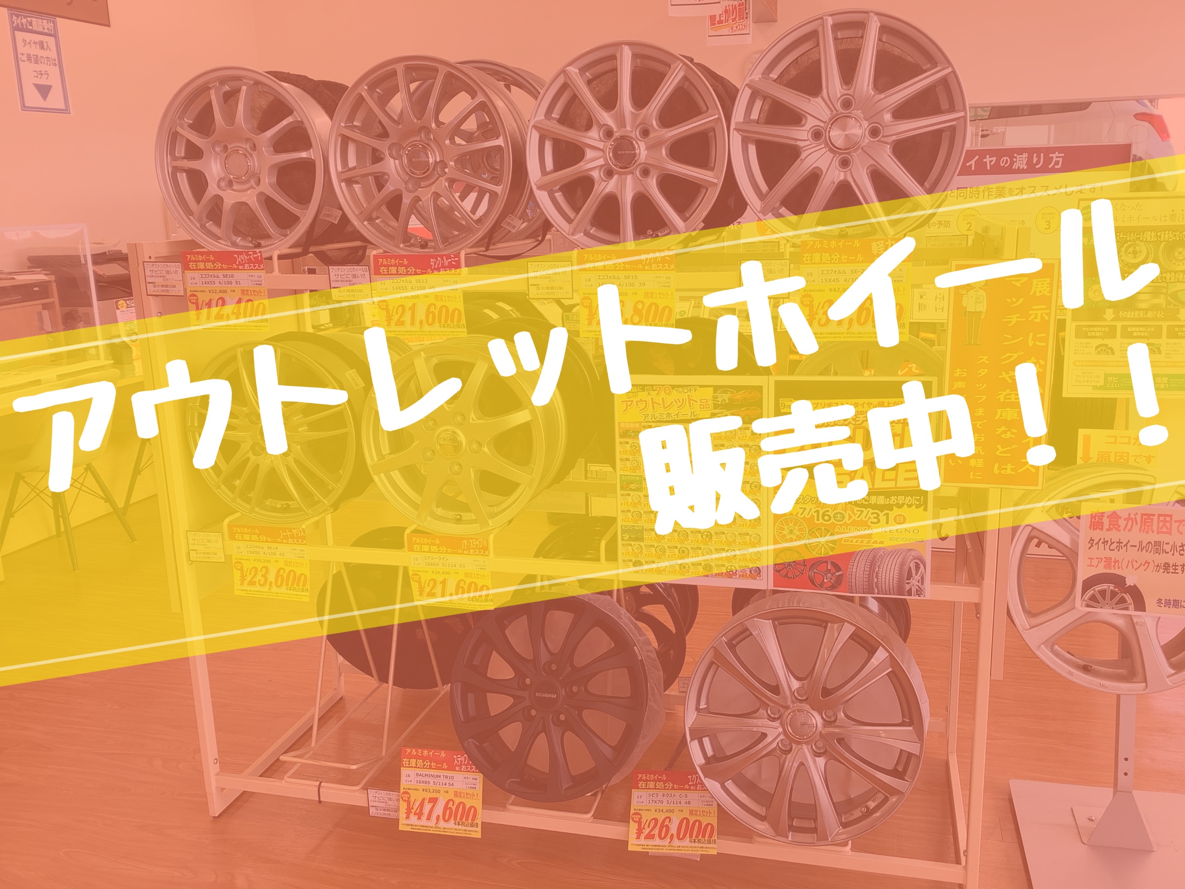 スタッフが撮影加工した画像