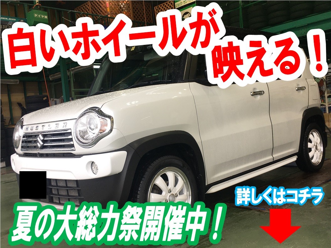 ホワイトボディにホワイトカラーが“映える”！！ | 店舗おススメ情報