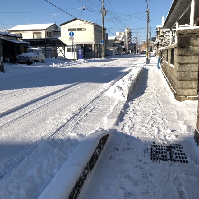 スタッフ撮影です