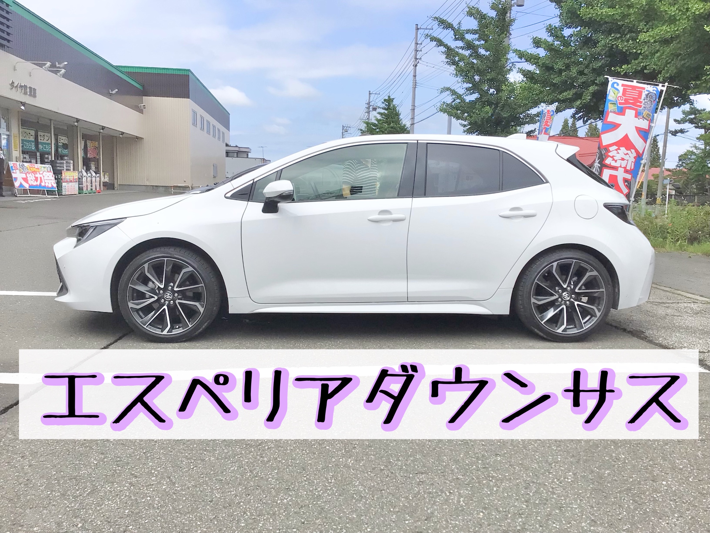 カローラスポーツ ダウンサス エスペリア | トヨタ カローラスポーツ