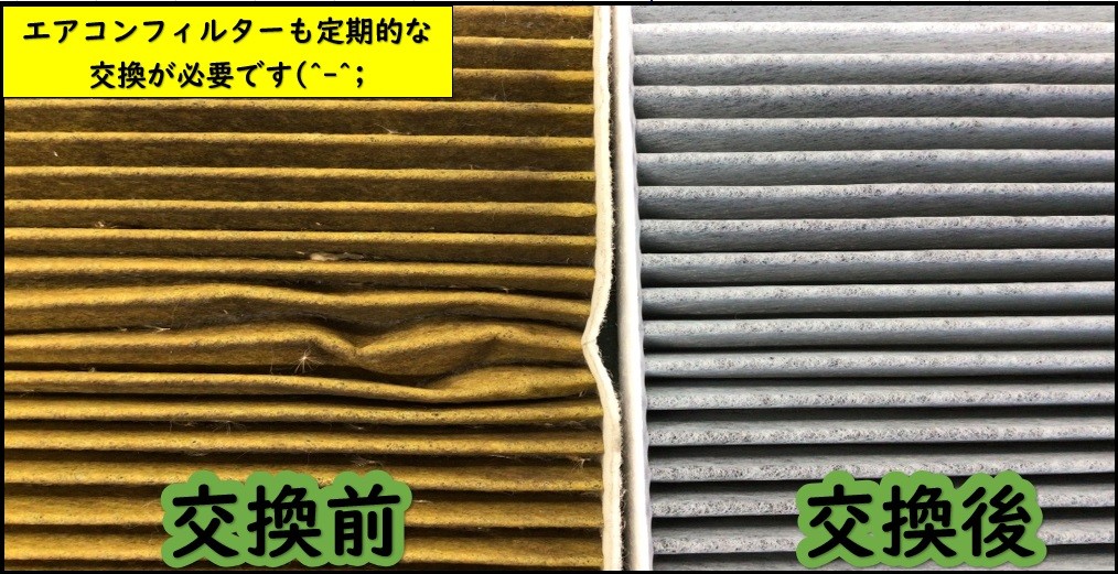 スタッフ撮影分