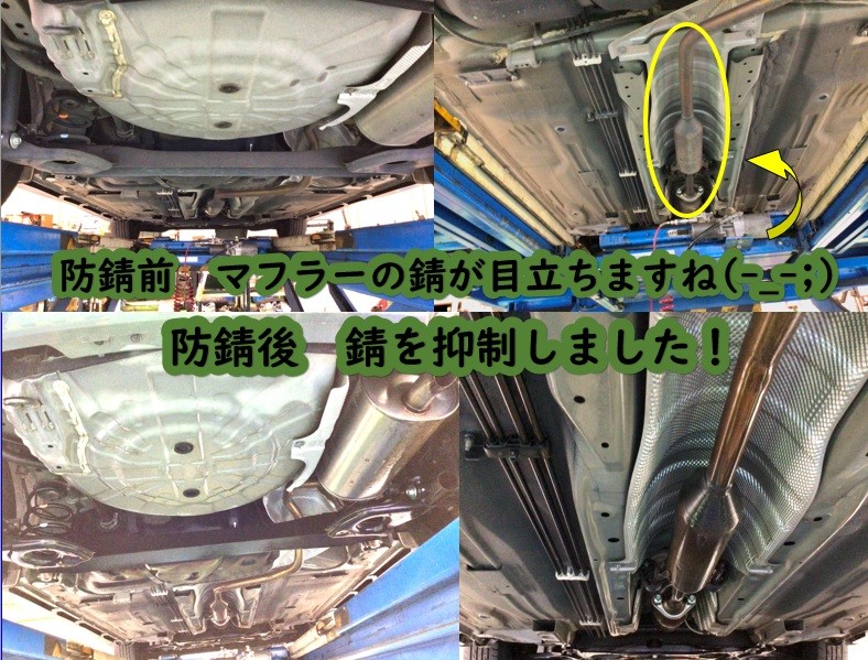 スタッフ撮影分