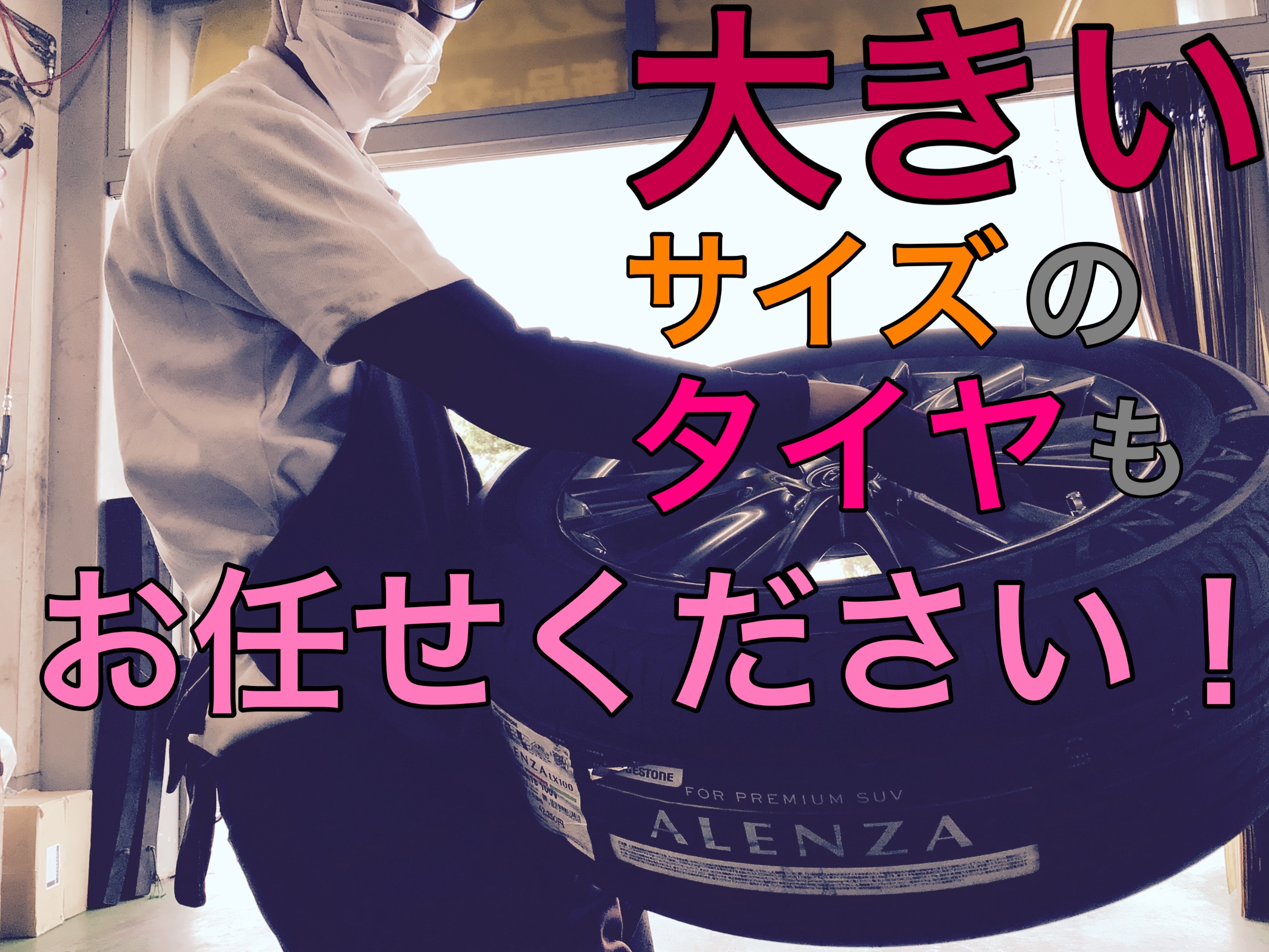 スタッフ撮影画像です
