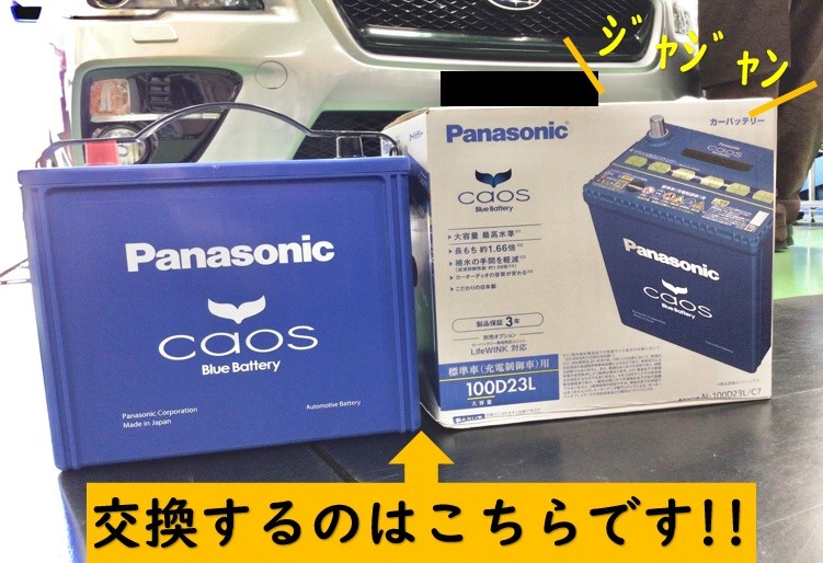 スタッフ撮影分