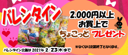 スタッフ作成 　ウサギはいらすとや様のイラストを使用しています。