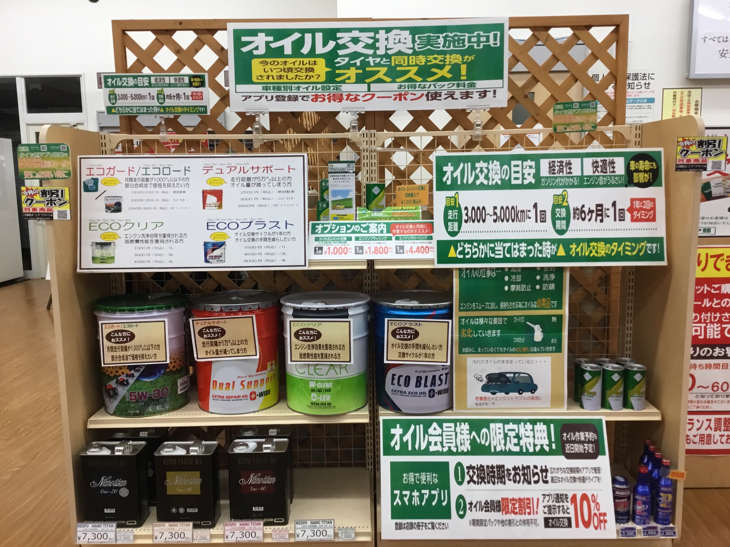 スタッフが撮影
