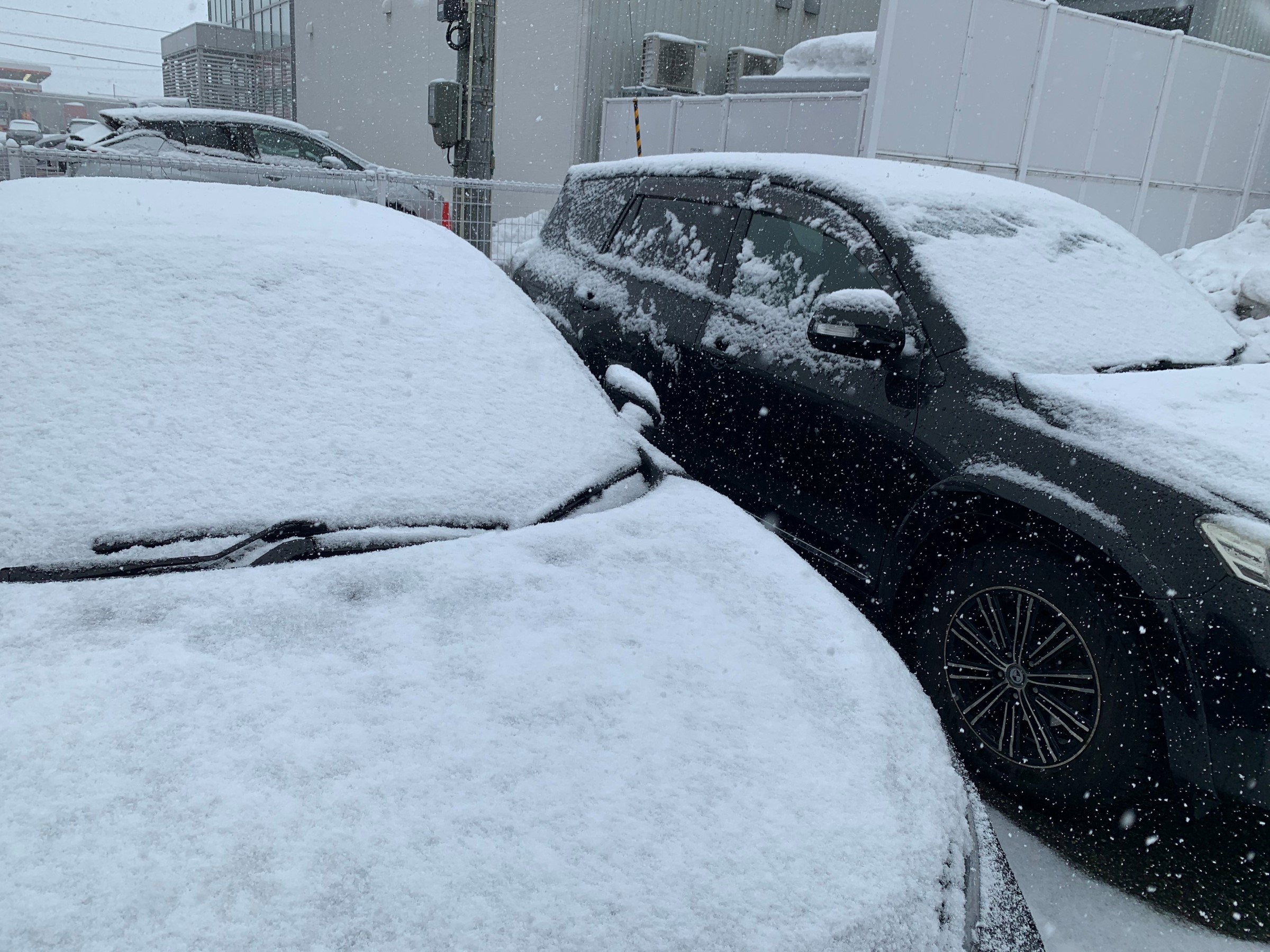 また雪が降ってきました スタッフ日記 タイヤ館 しばた 新潟県のタイヤ カー用品ショップ タイヤからはじまる トータルカーメンテナンス タイヤ館グループ