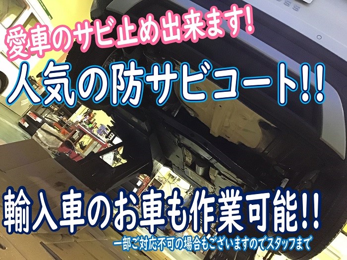 スタッフが撮影加工した画像