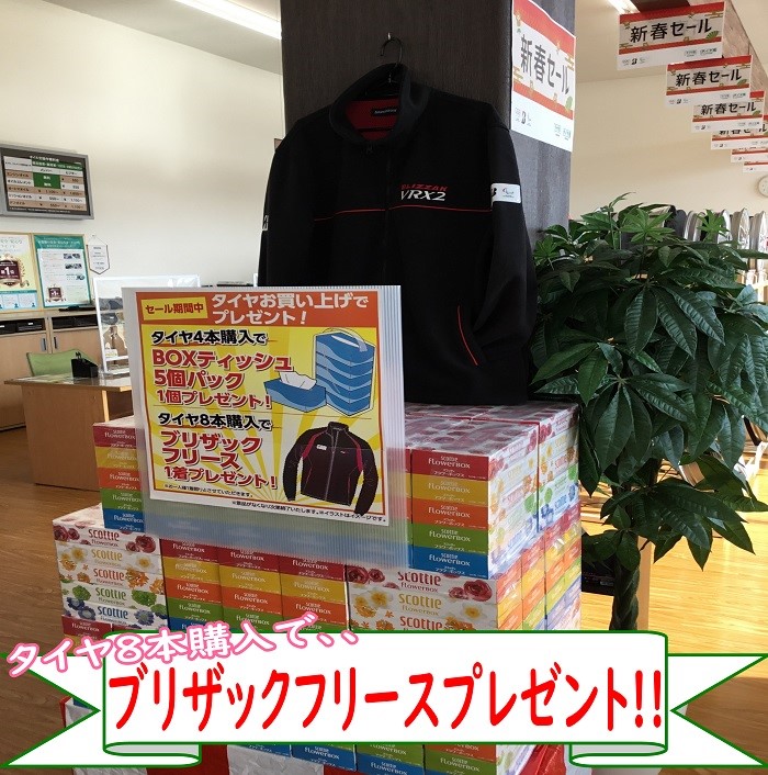 スタッフが撮影加工した画像
