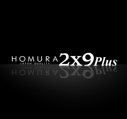 RAYS　HPの画像です。