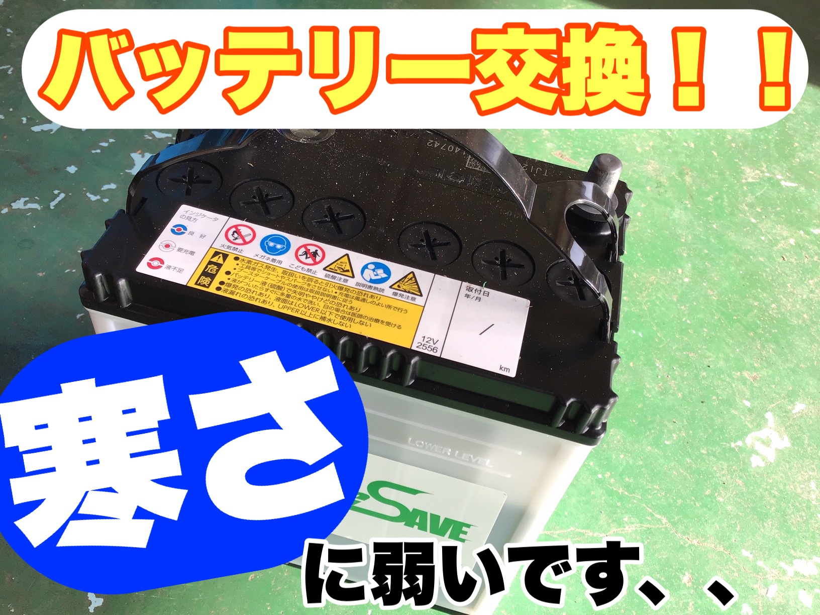 スタッフが撮影加工した画像