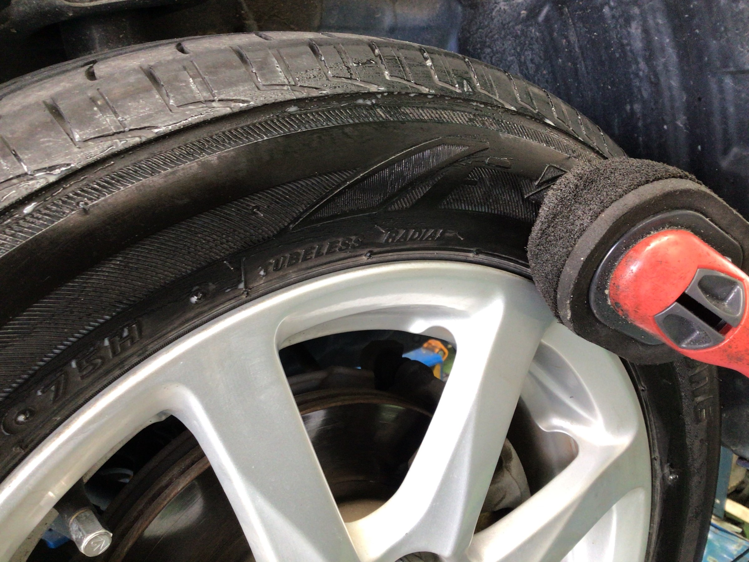 スタッフ撮影分