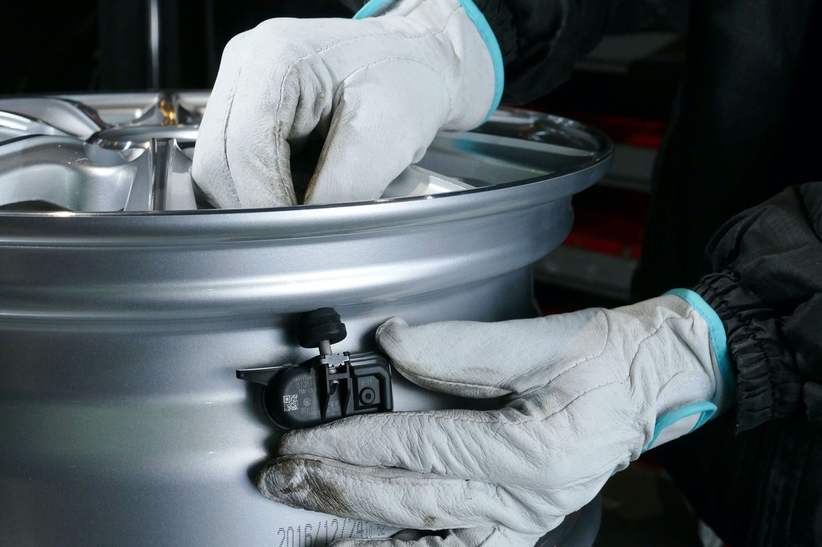 本部提供分画像