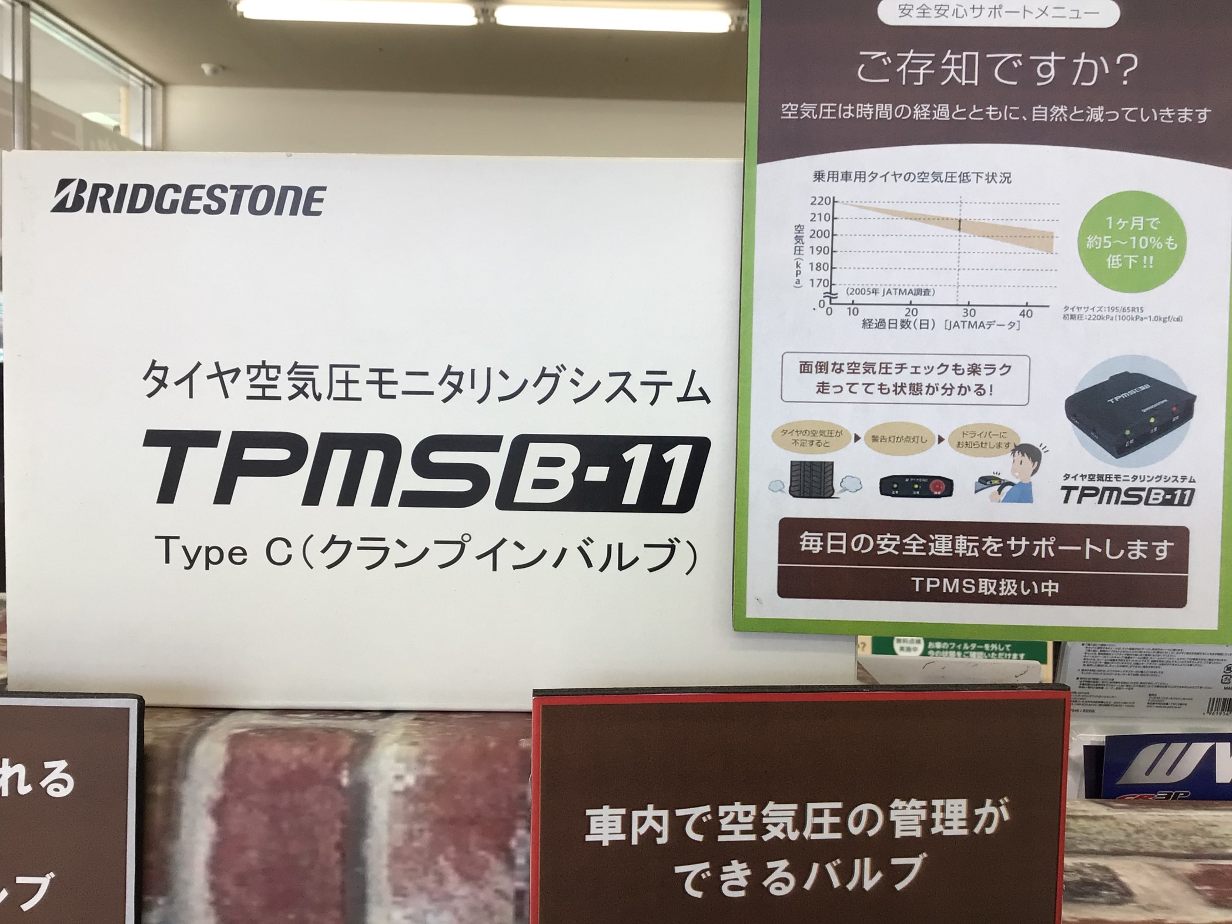 この画像はスタッフ撮影です。