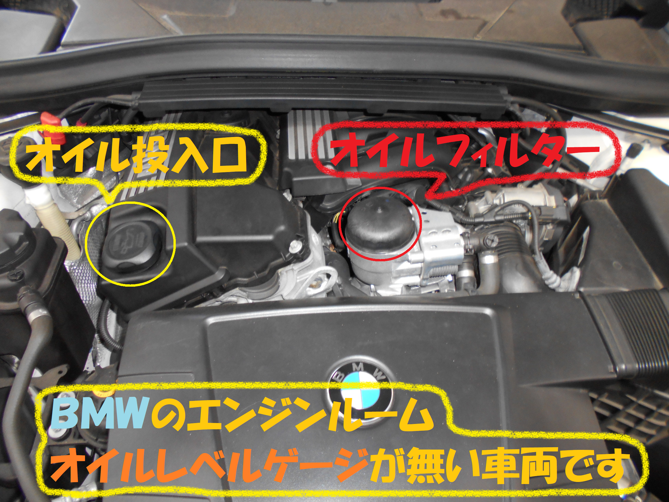 ｂｍｗ ｘ1 エンジンオイル交換 オイルエレメント交換です 前編 Bmw X1 総和店こだわり作業 タイヤ館 総和 茨城県のタイヤ カー用品ショップ タイヤからはじまる トータルカーメンテナンス タイヤ館グループ