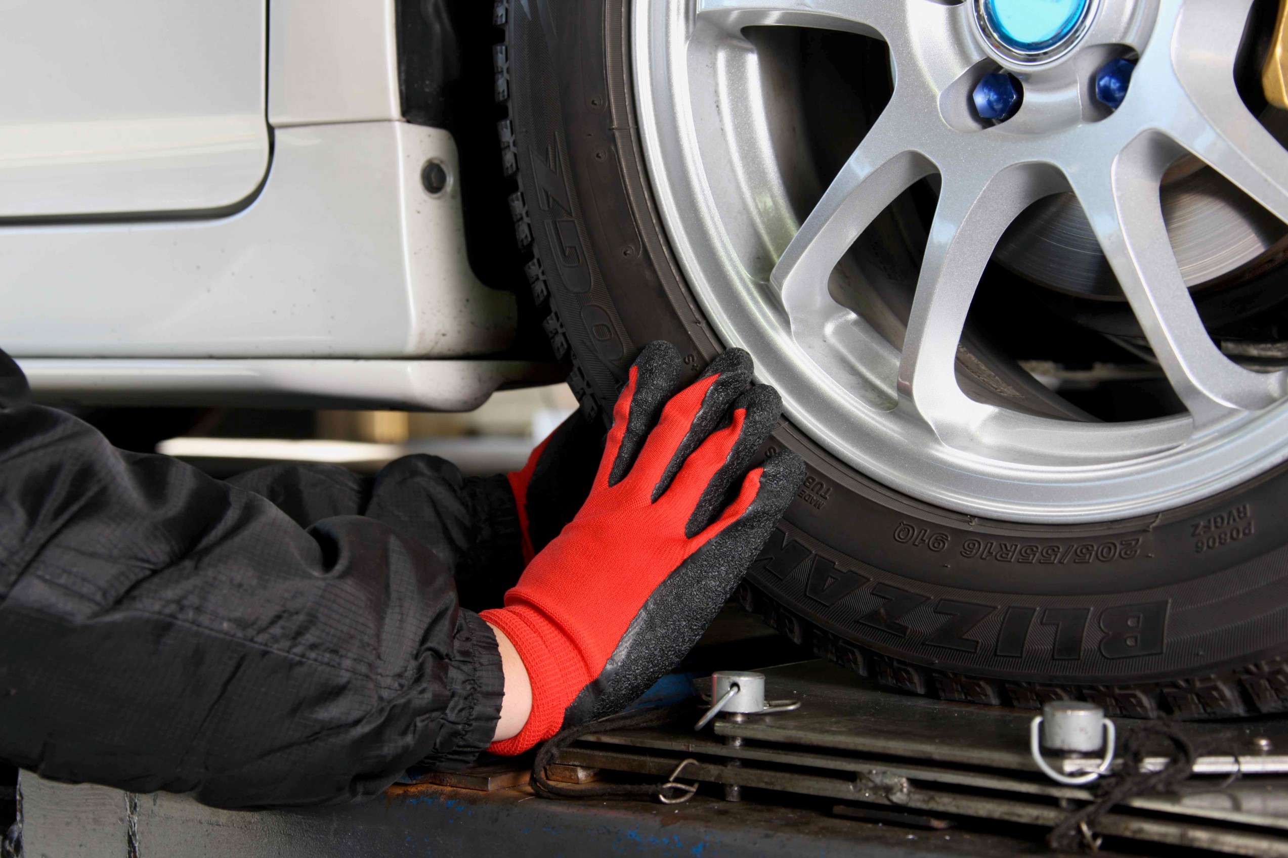 本部提供分画像使用