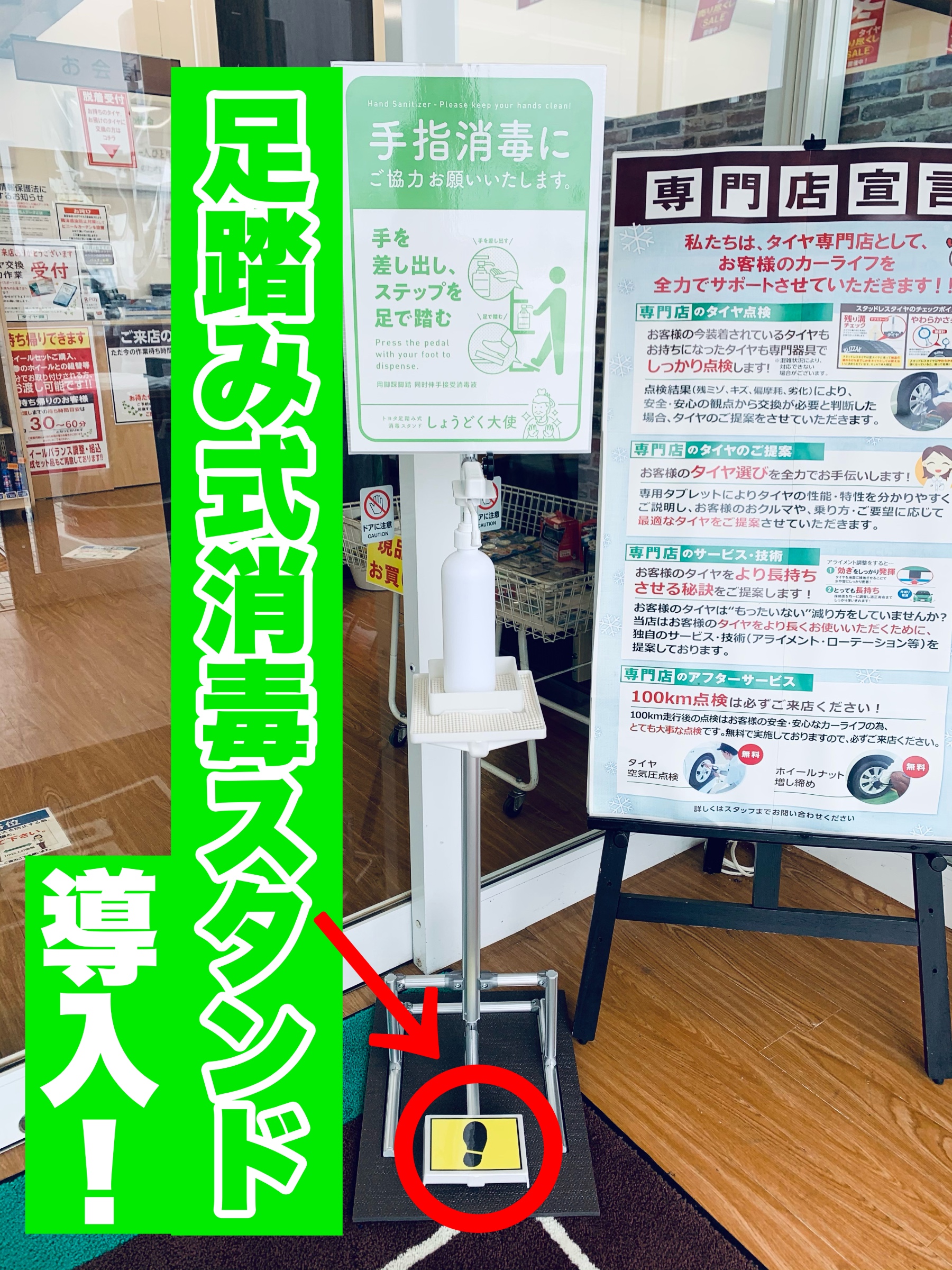 スタッフが撮影加工した画像