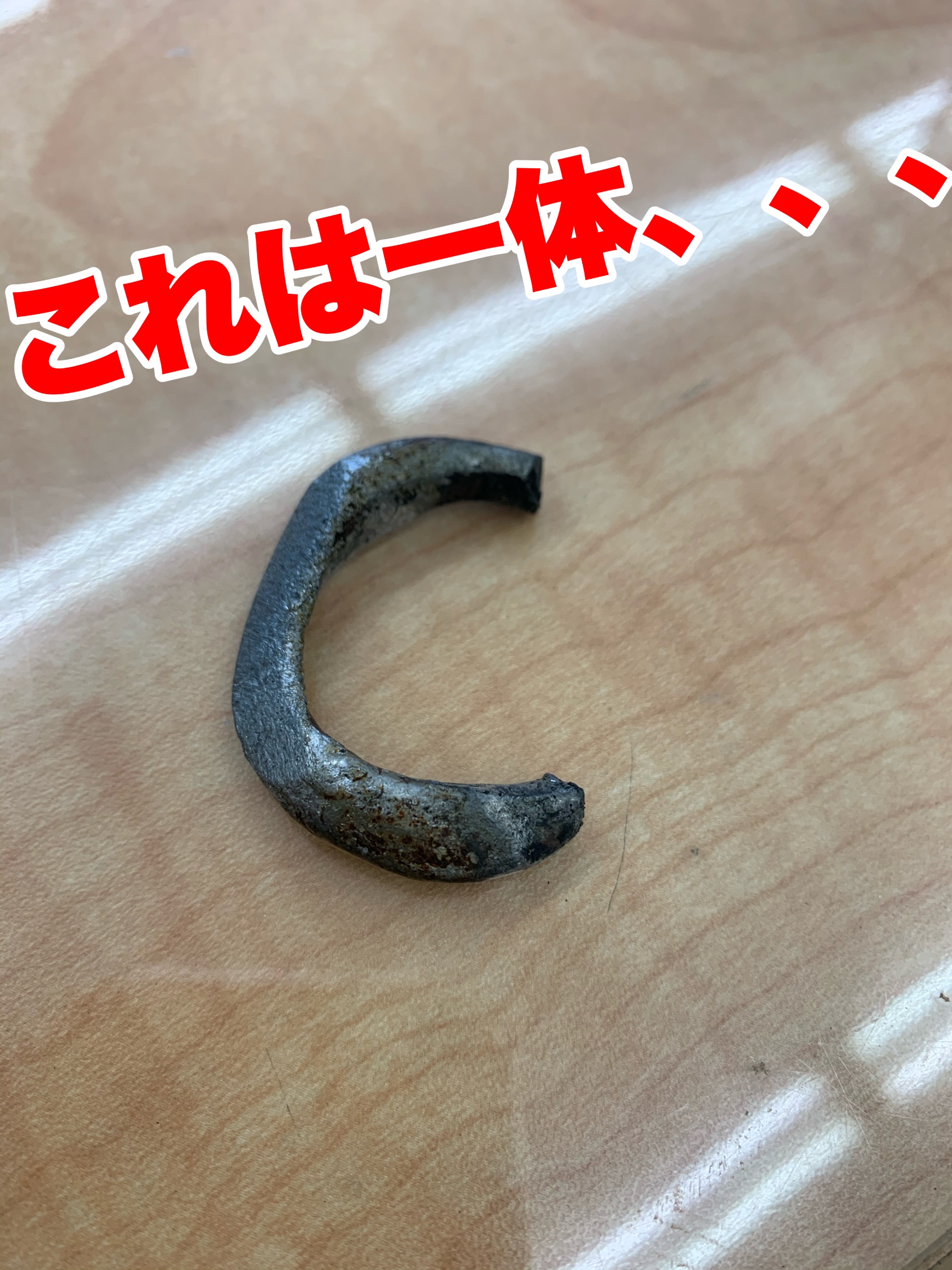 スタッフが撮影加工した画像