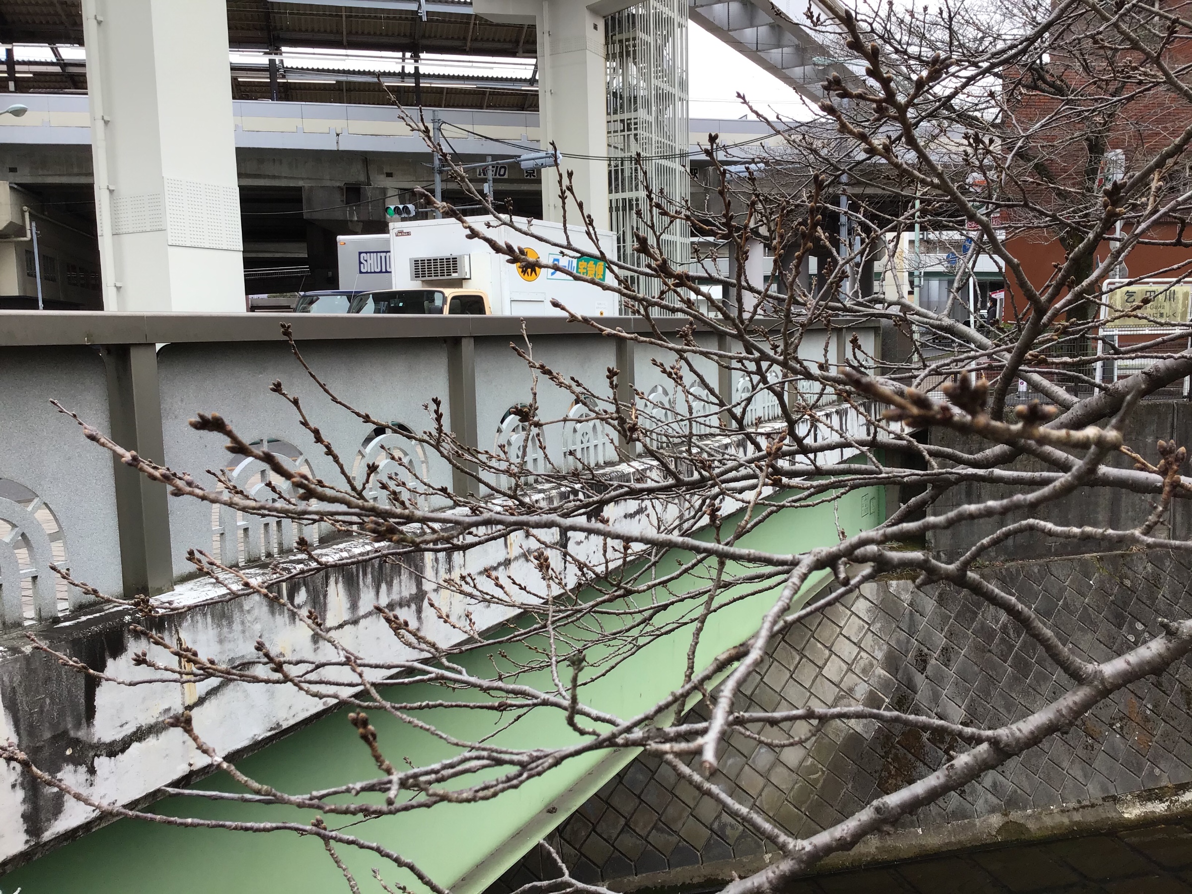 本日撮影した画像です。