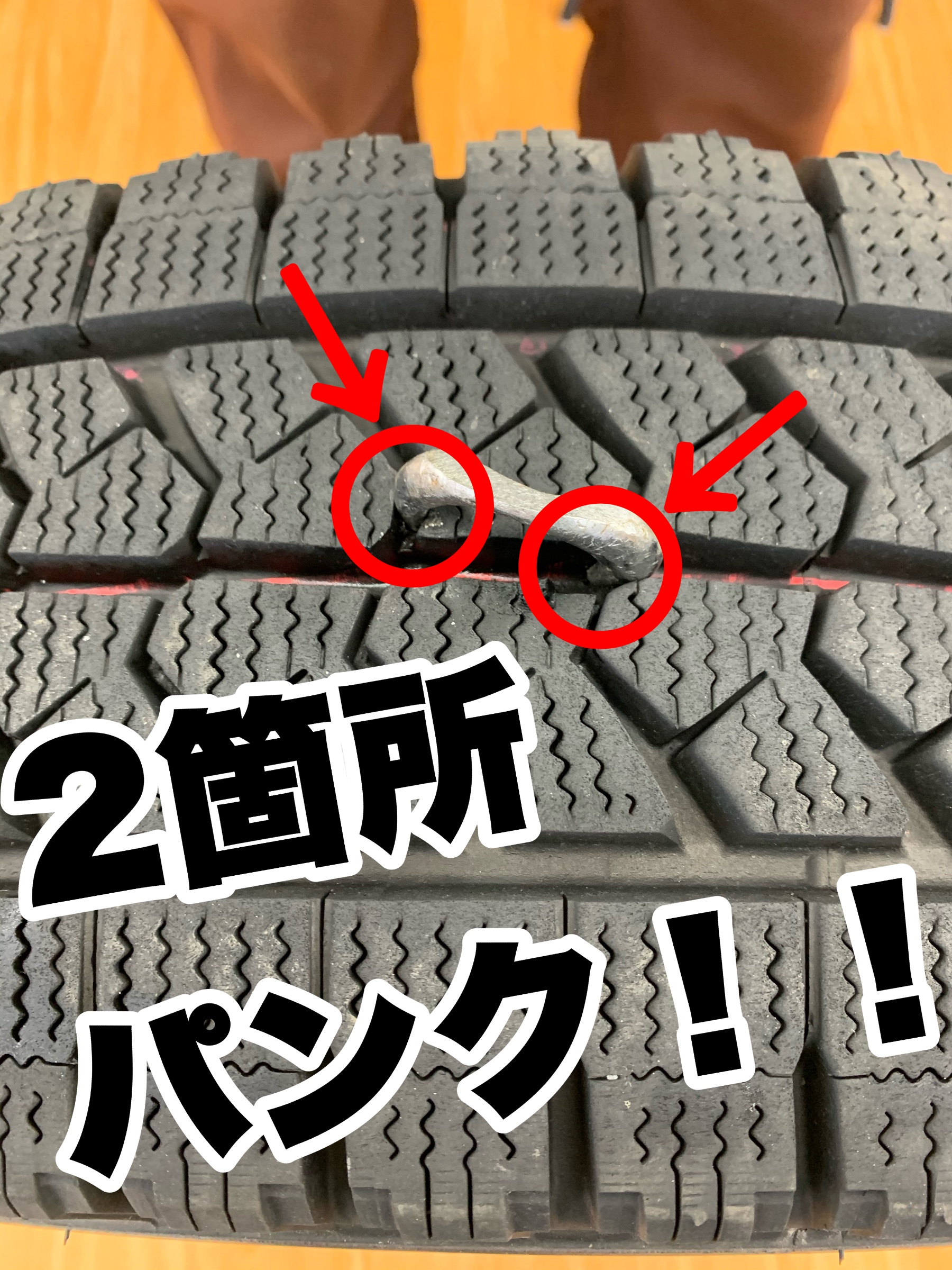スタッフが撮影加工した画像です