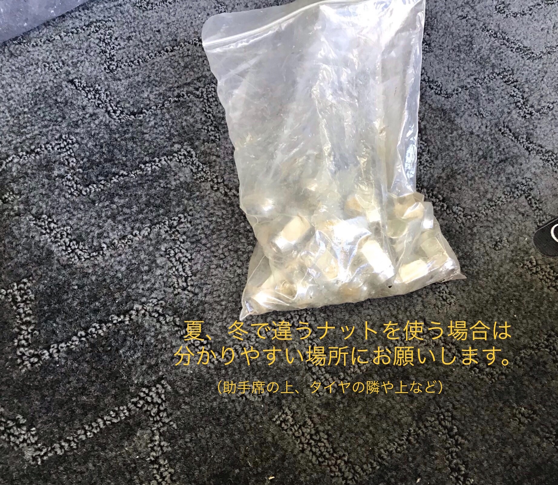 スタッフ撮影