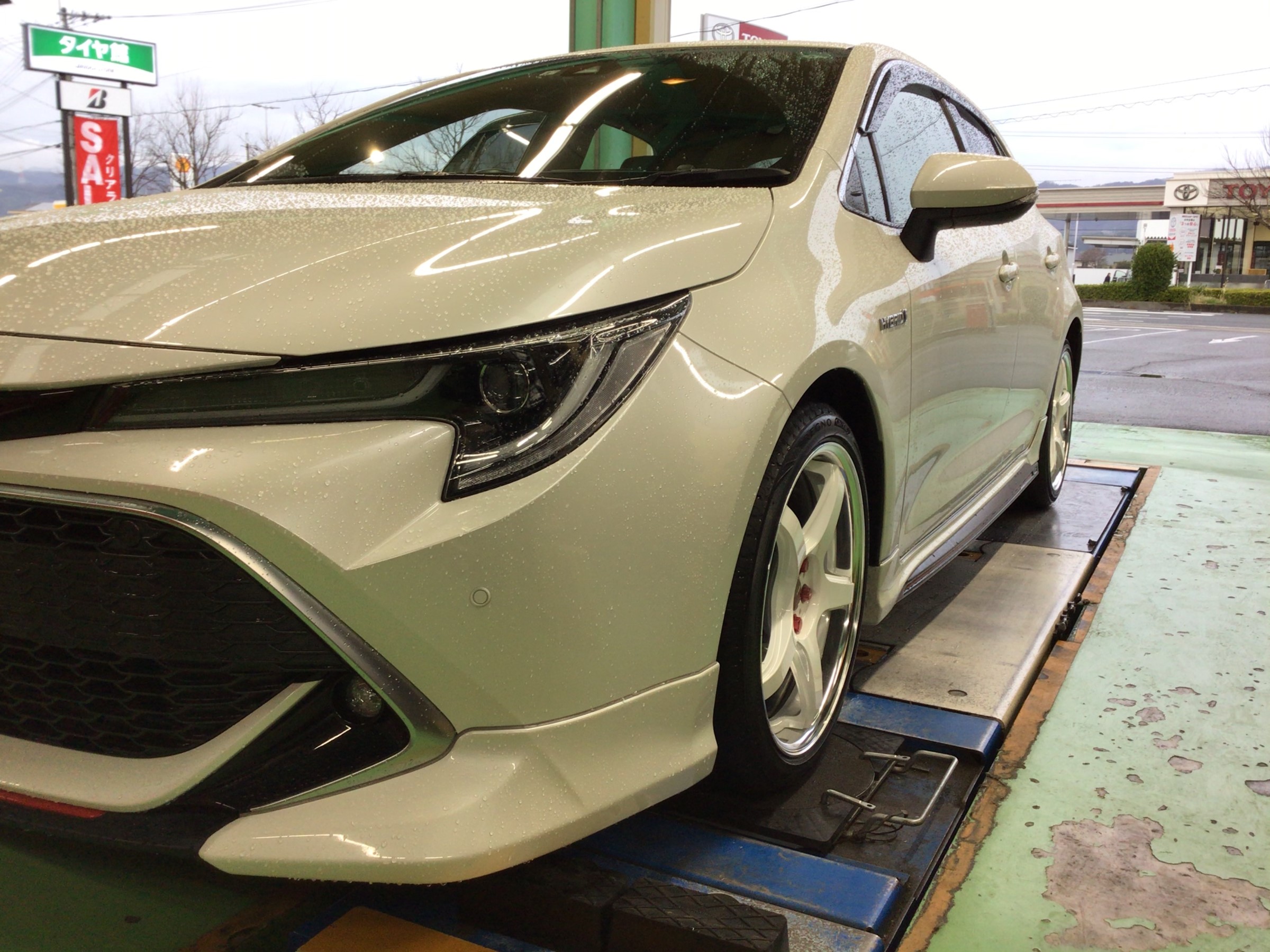 スタッフ撮影分