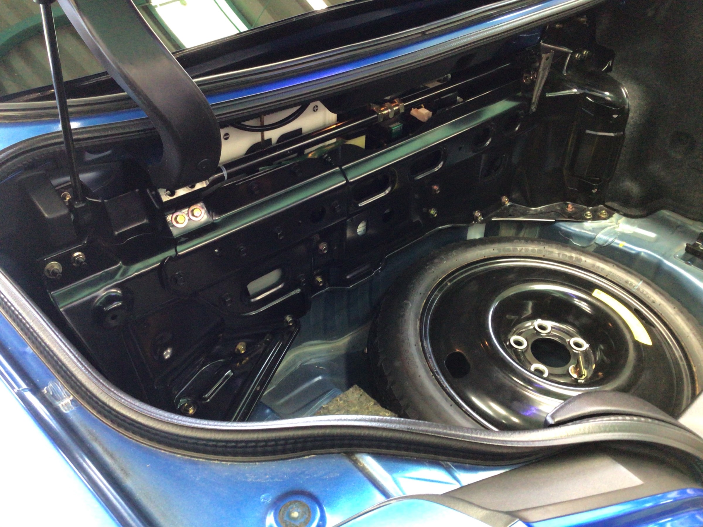 スタッフ撮影分