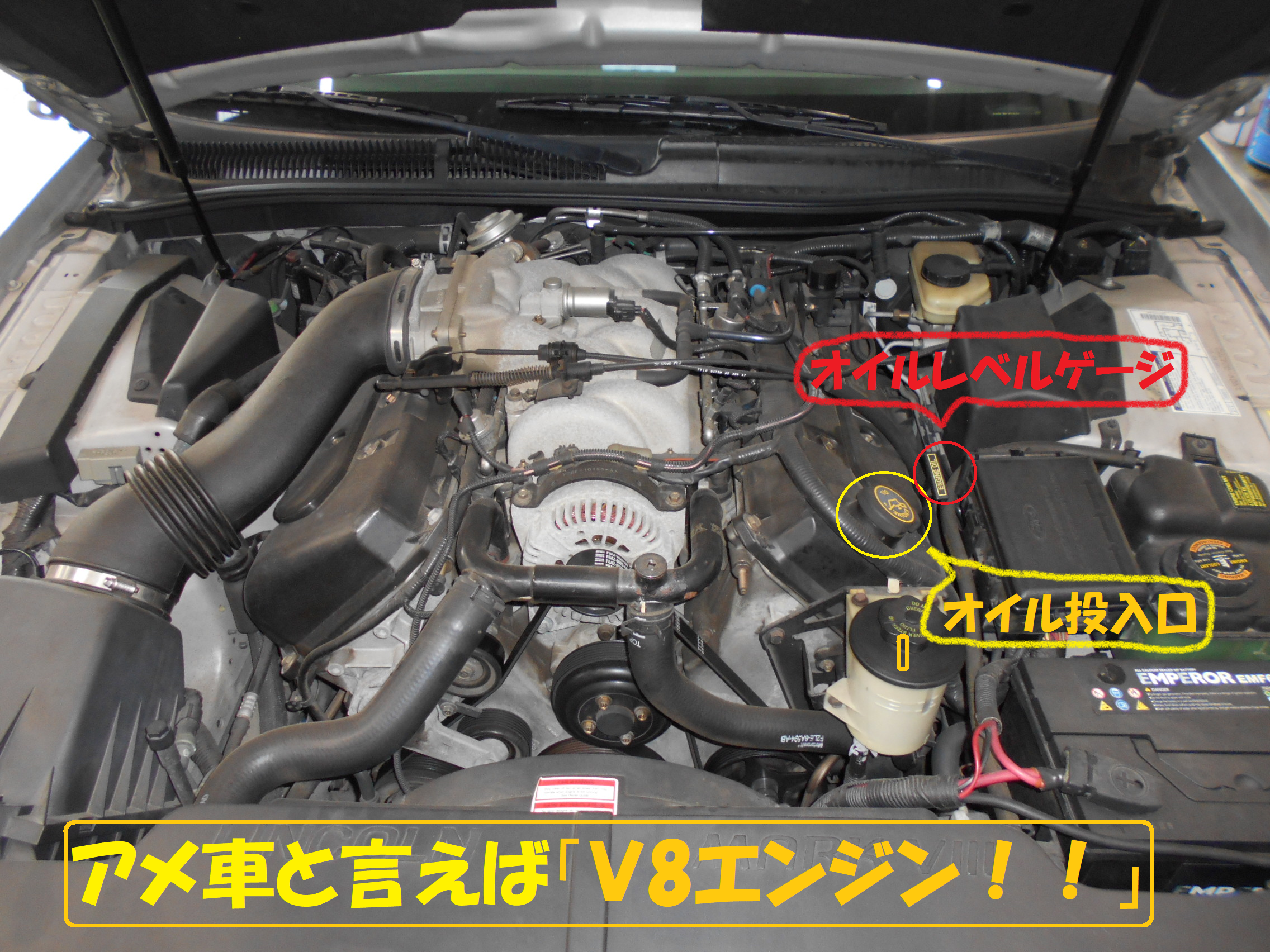 アメリカからいらっしゃい フォードリンカーンｍｋ オイル交換です フォード メンテナンス商品 オイル関連 エンジンオイル交換 総和店こだわり作業 タイヤ館 総和 茨城県のタイヤ カー用品ショップ タイヤからはじまる トータルカーメンテナンス