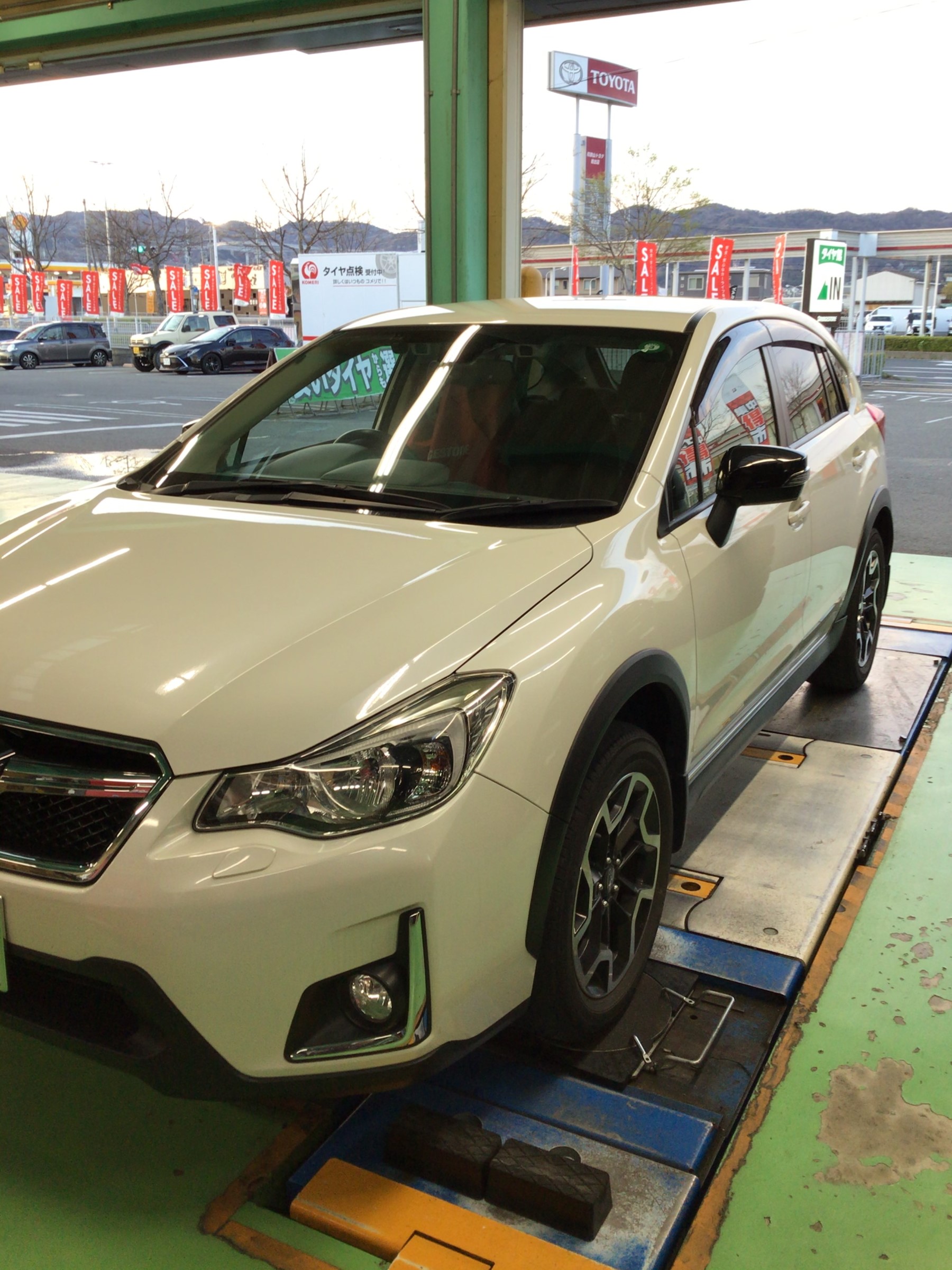 スタッフ撮影分