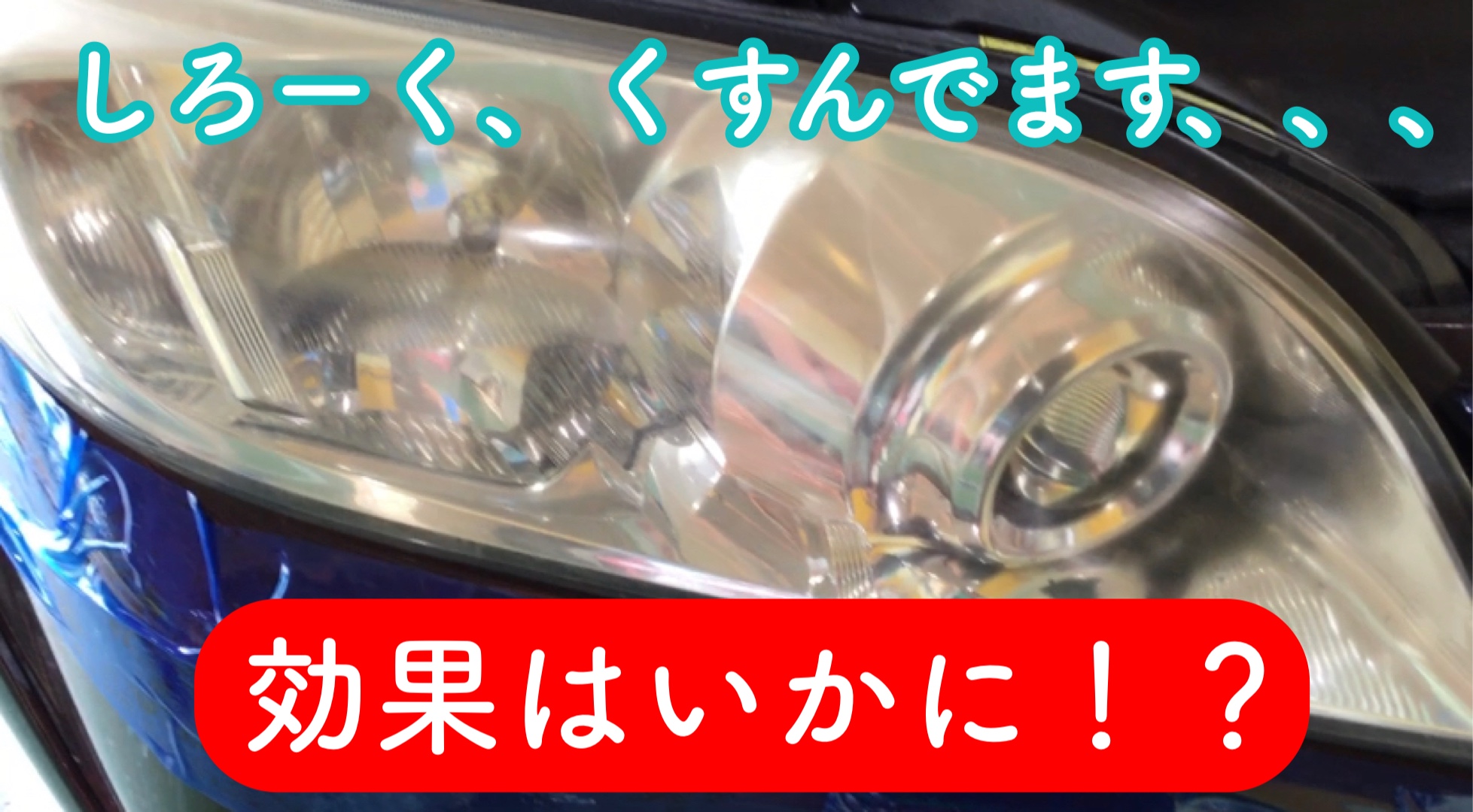 スタッフが撮影加工した画像