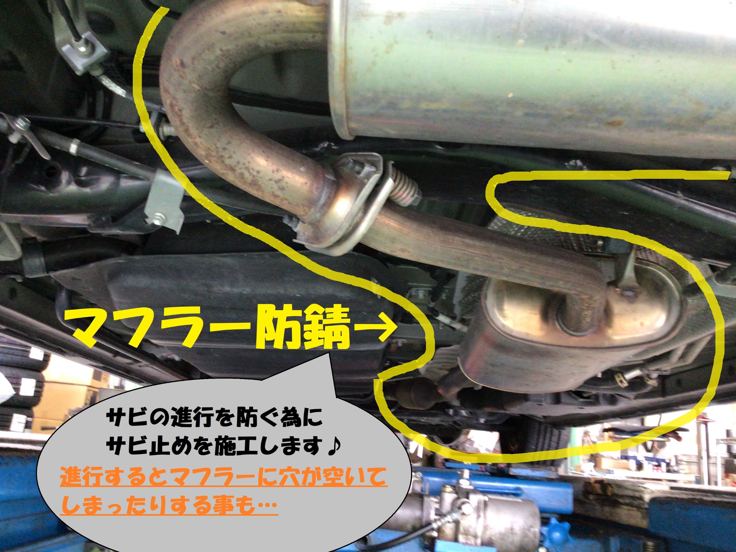 スタッフ撮影分